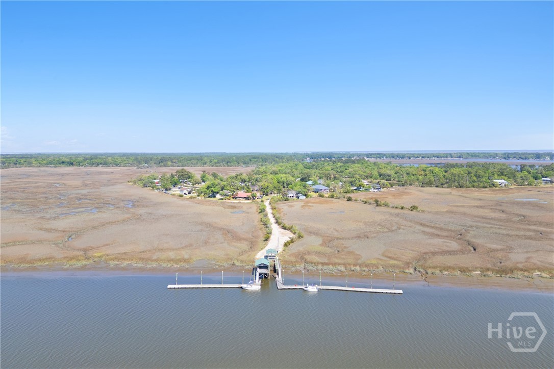 Long-range aerial view of the neighborhood peninsu