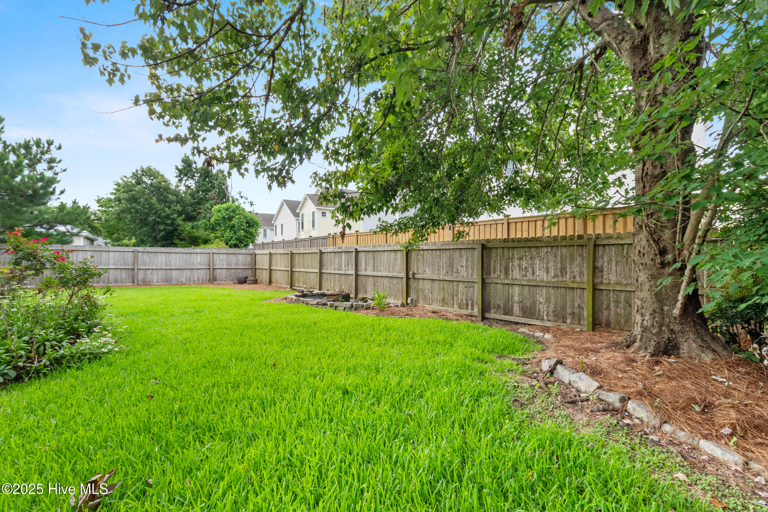 100518849 | Photo 30