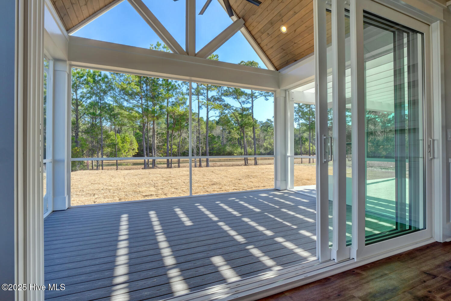 100539915 | Photo 44