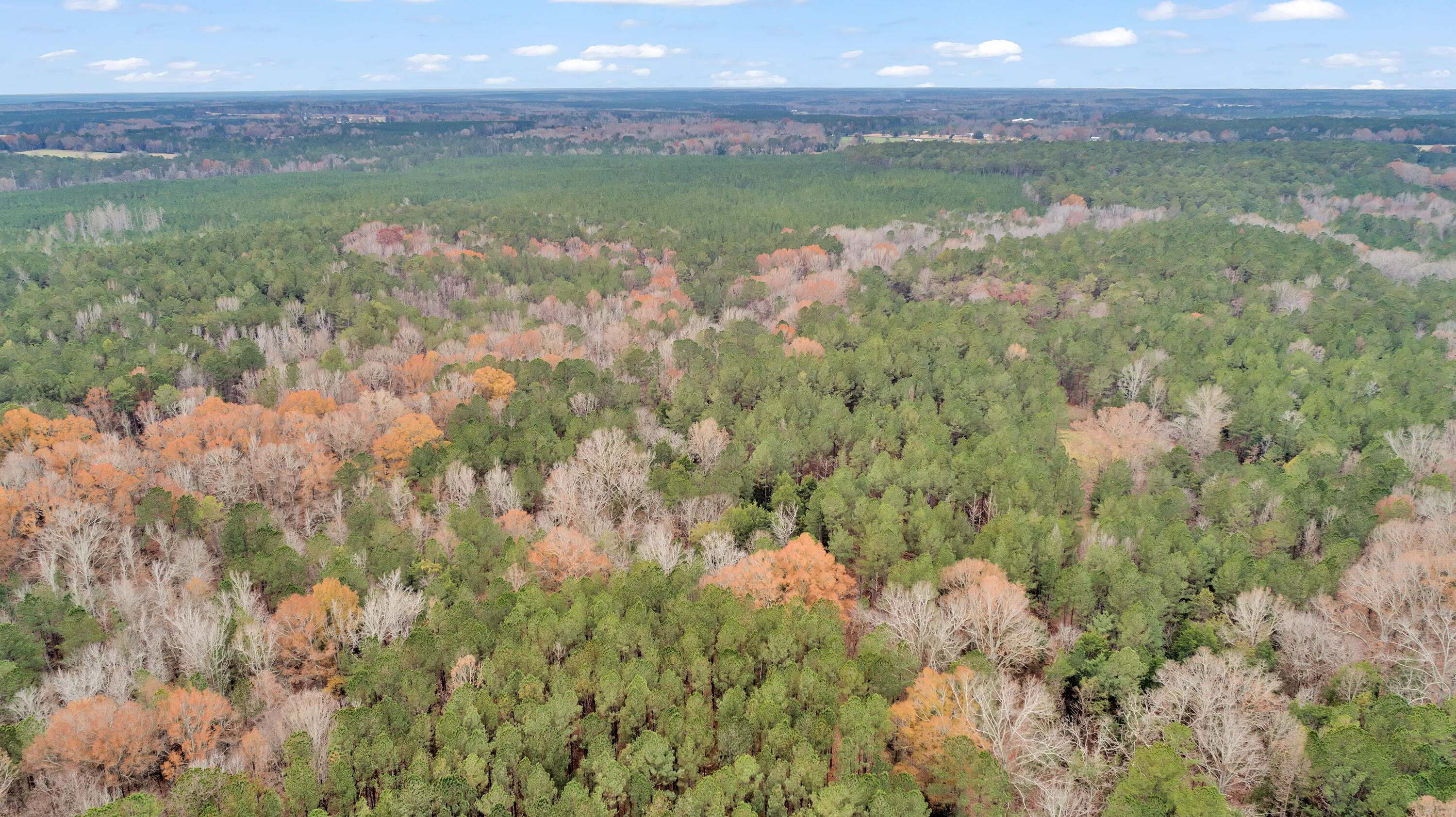 Saggus Rd land 121-007A, 400ft View, Dro