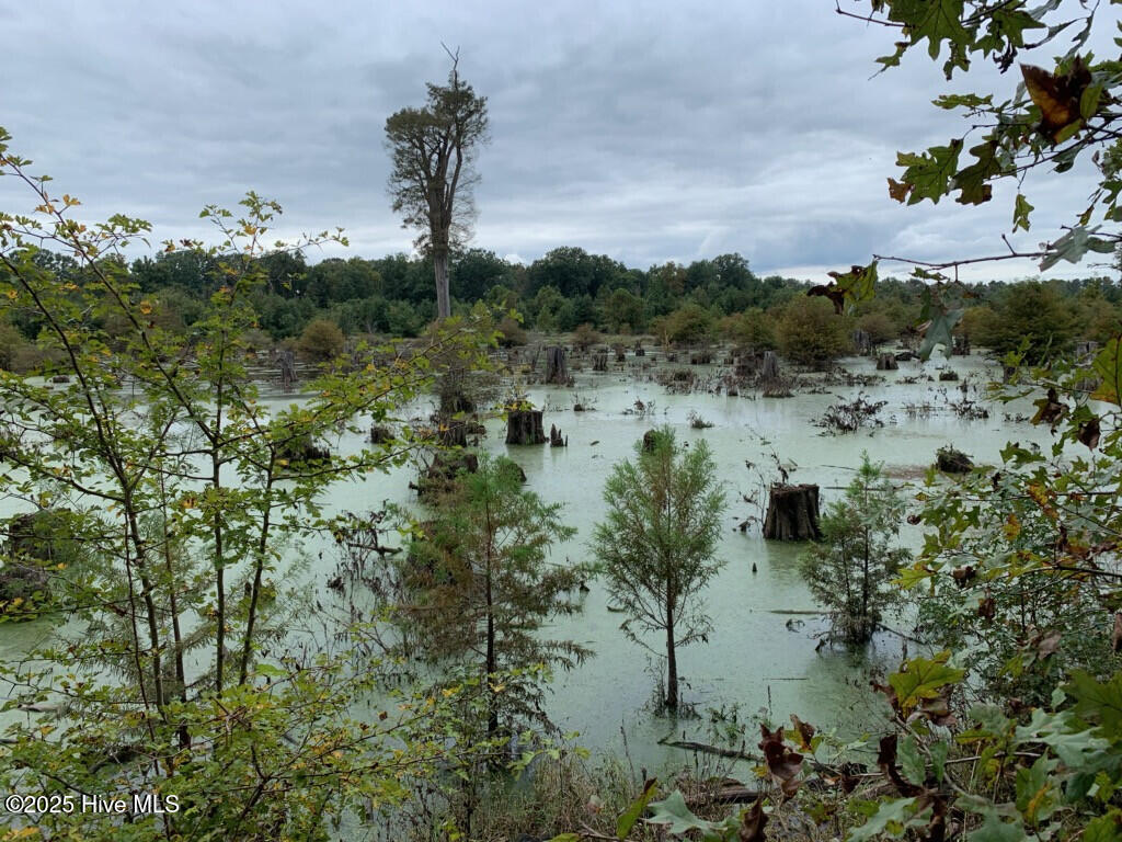 8) 56170-6800d965081c5