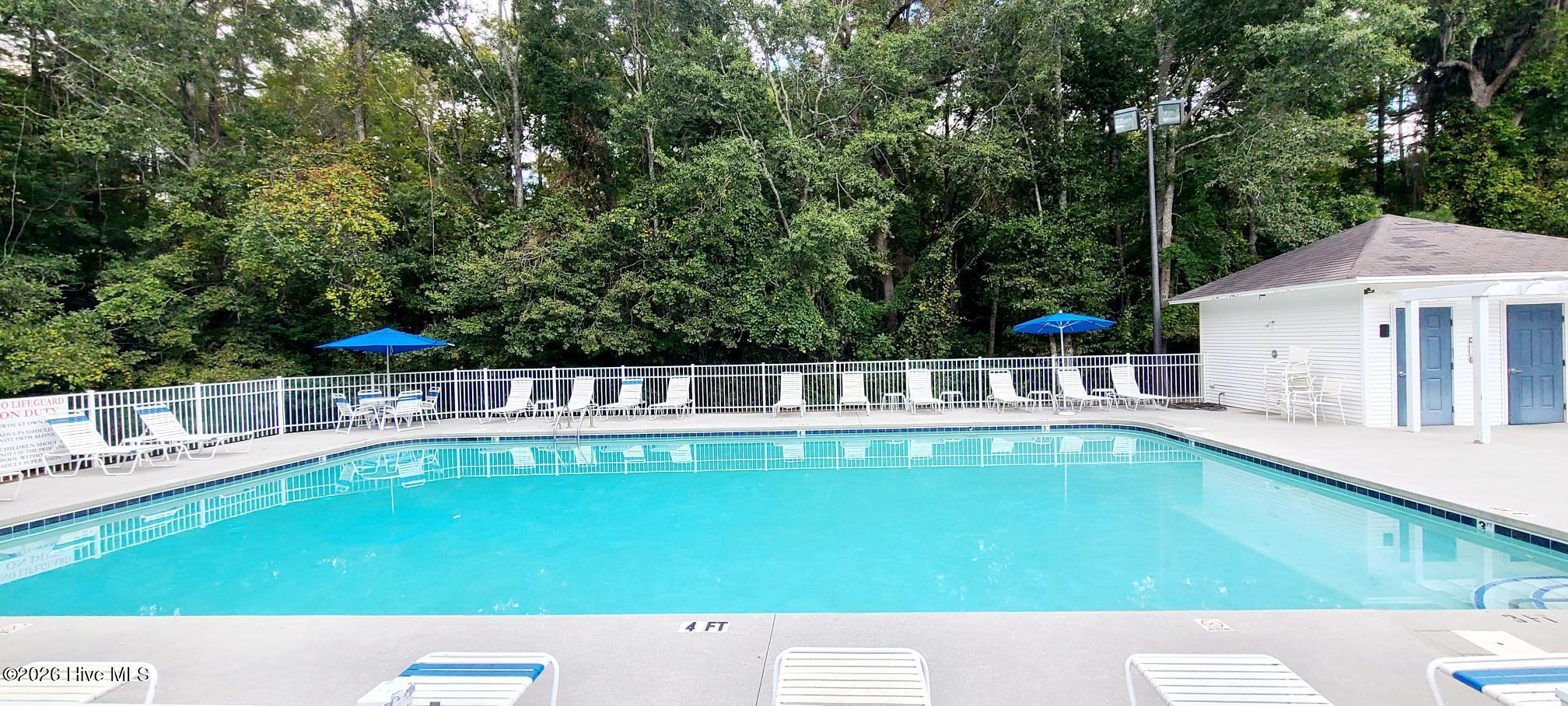 100565978 | Photo 25