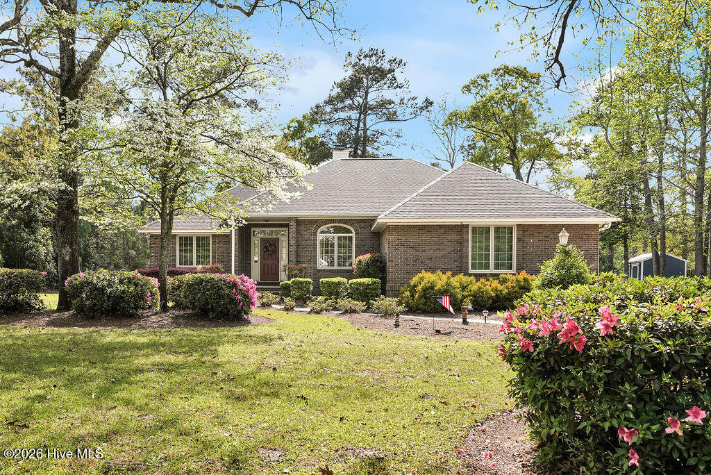 100567703 | Photo 35