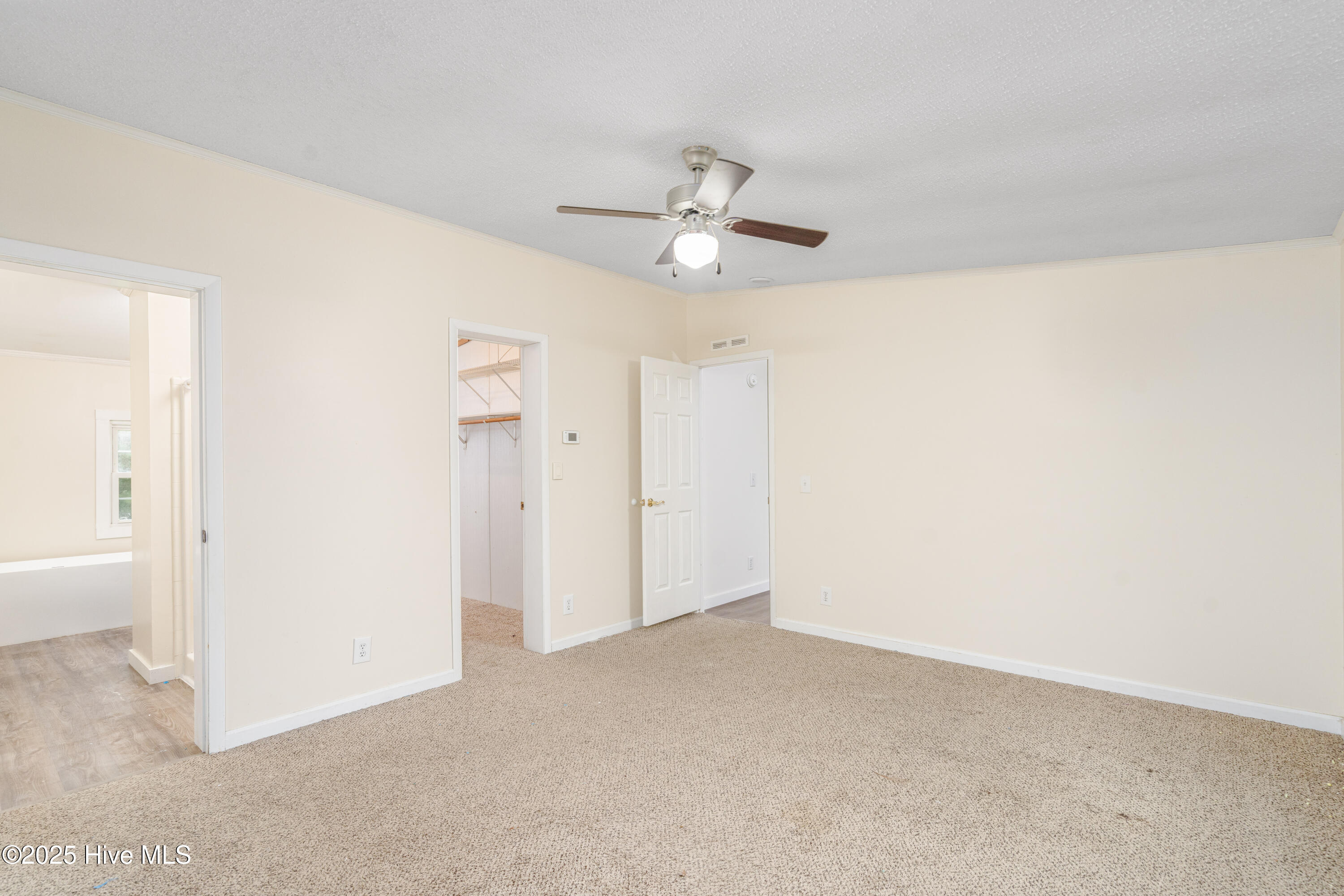 100536641 | Photo 27