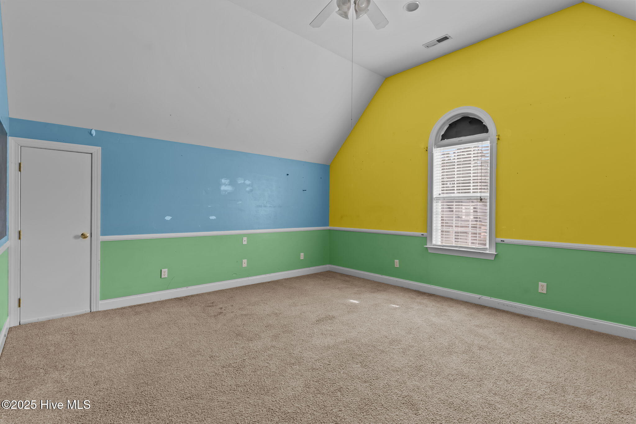 100538095 | Photo 47