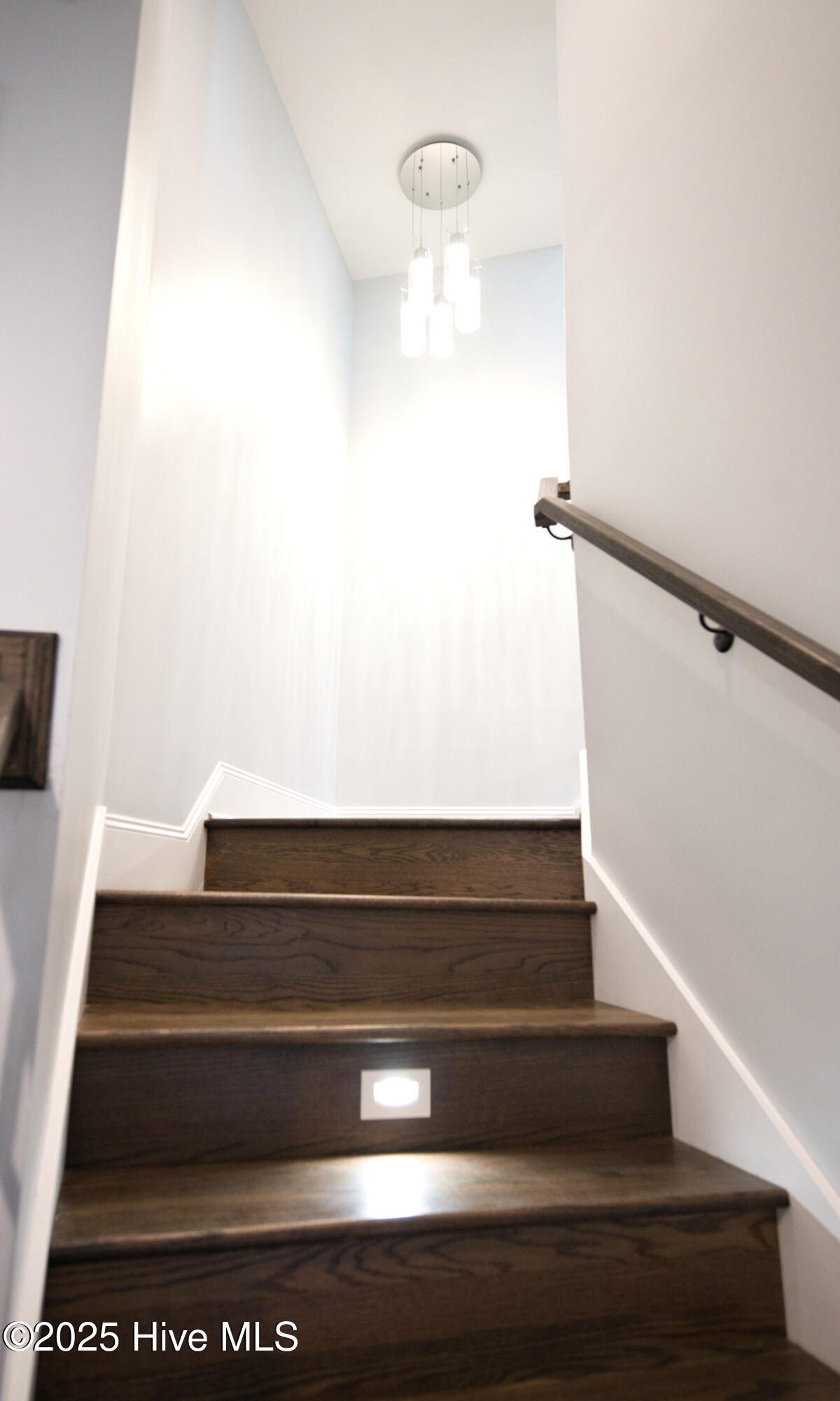 100546521 | Photo 65