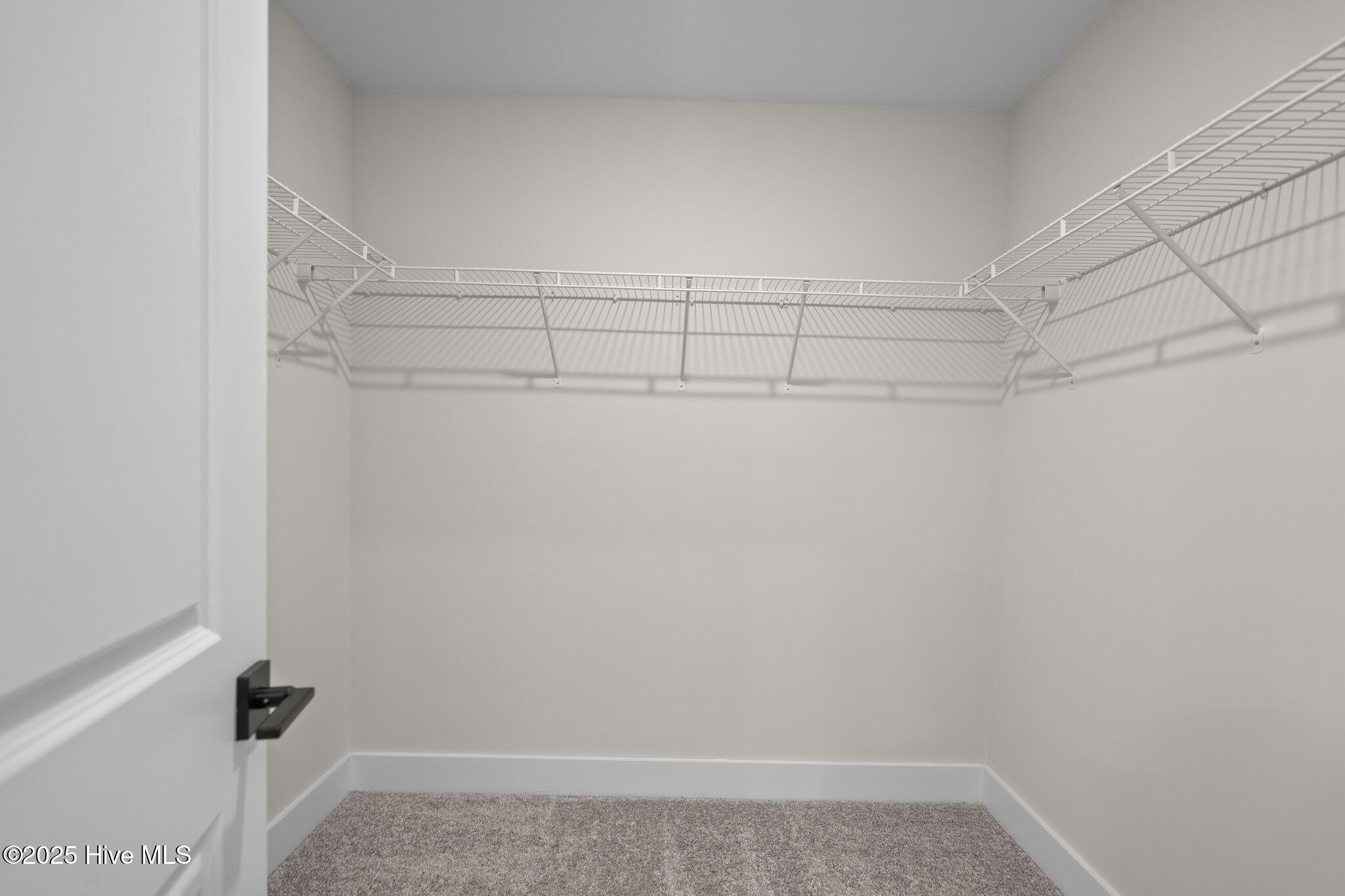 100547176 | Photo 22