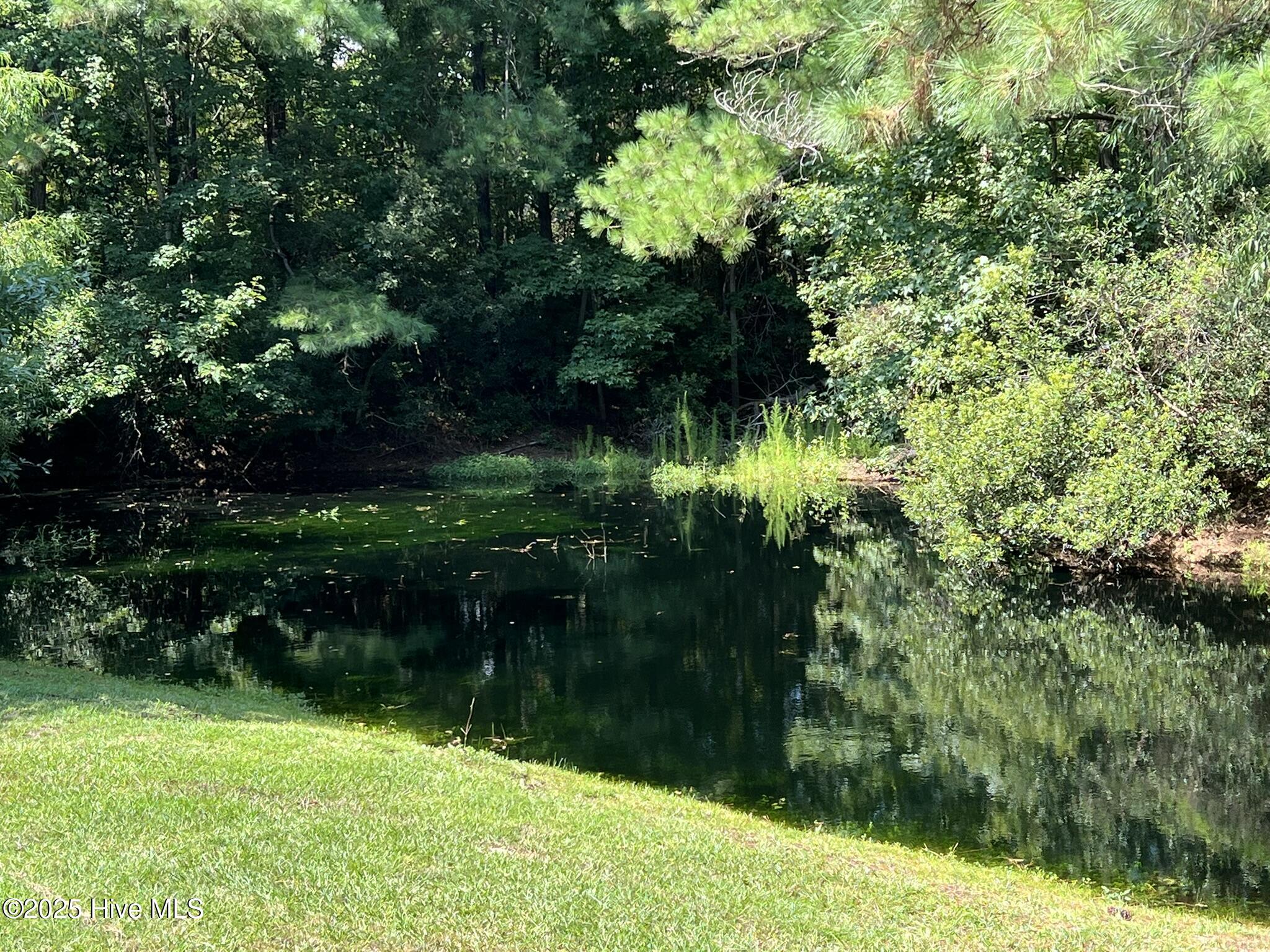 100525760 | Photo 31