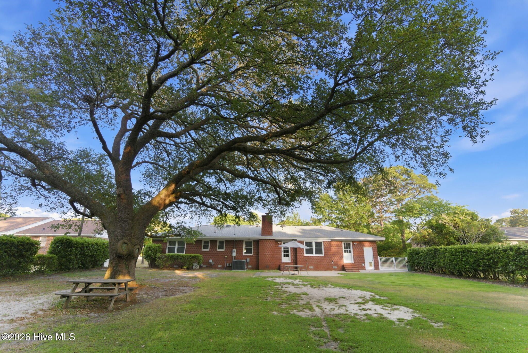 100569519 | Photo 45