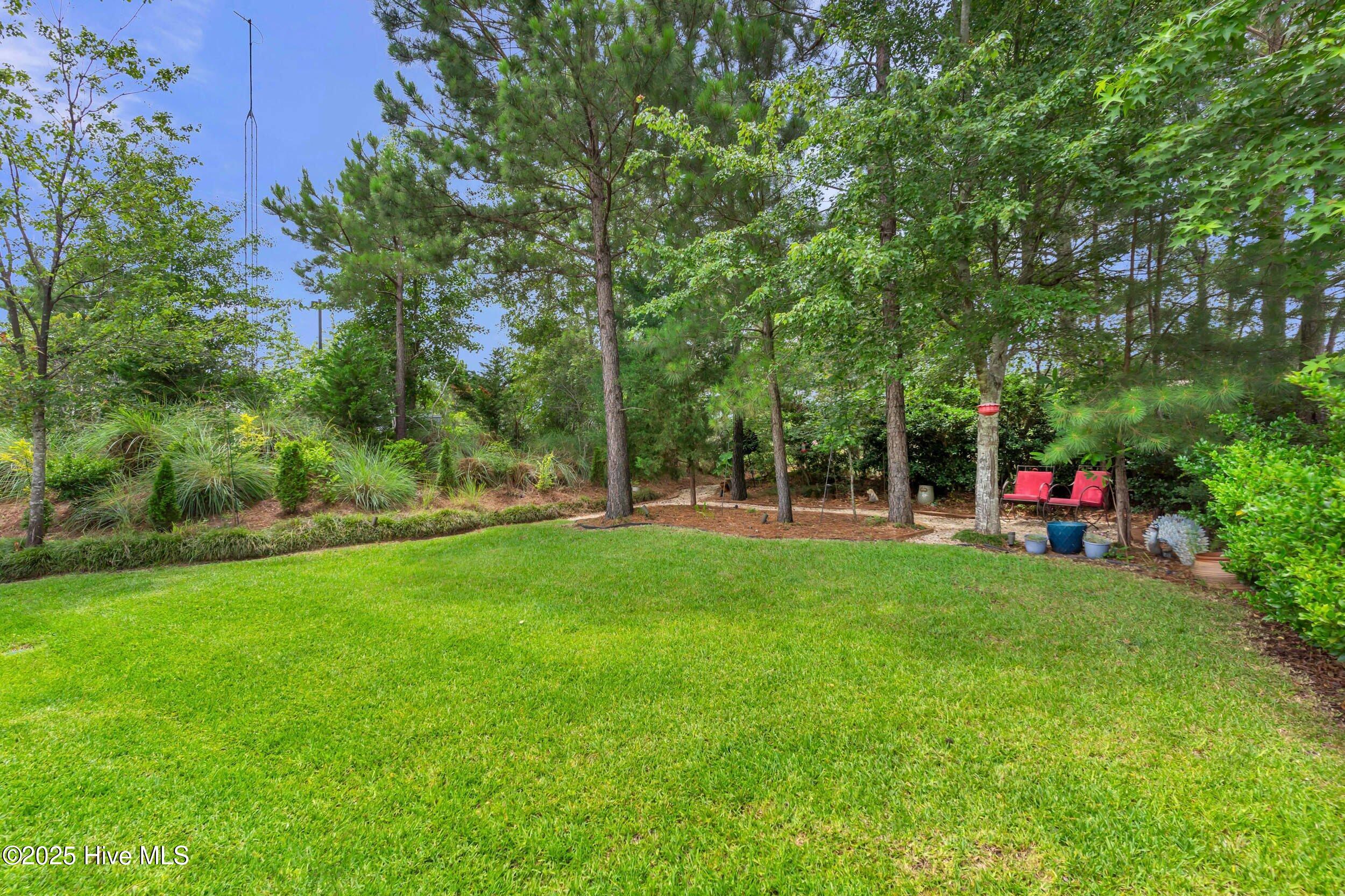 100533496 | Photo 47