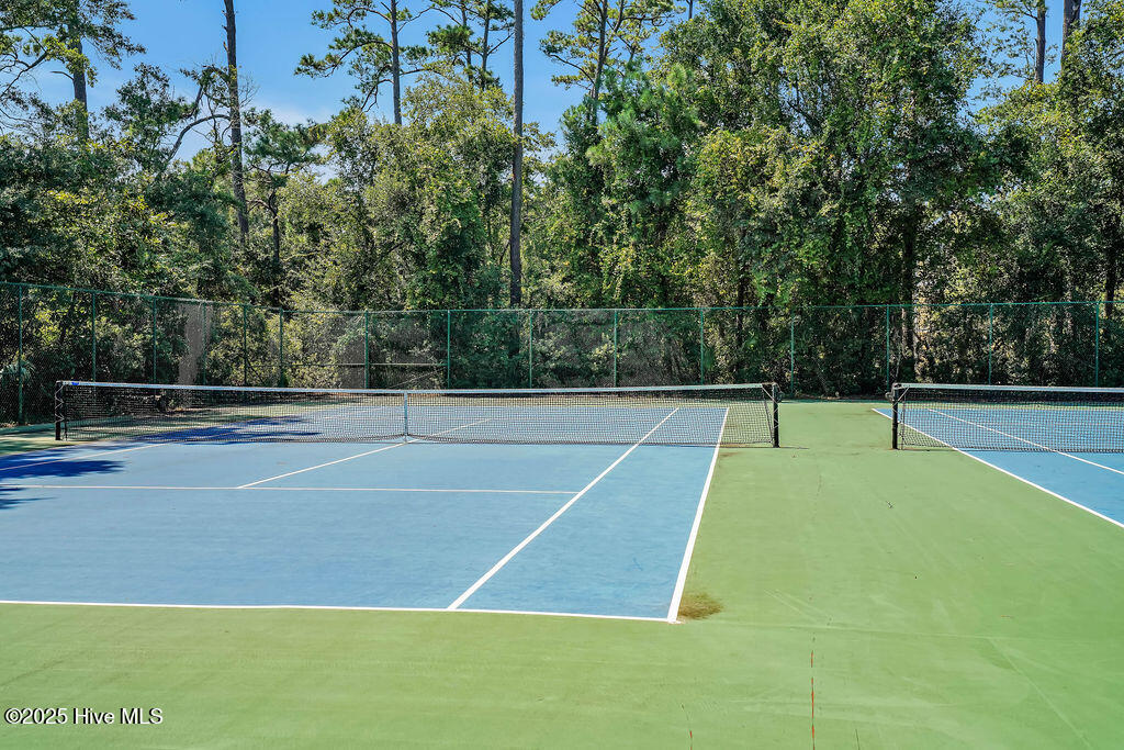 100504453 | Photo 56