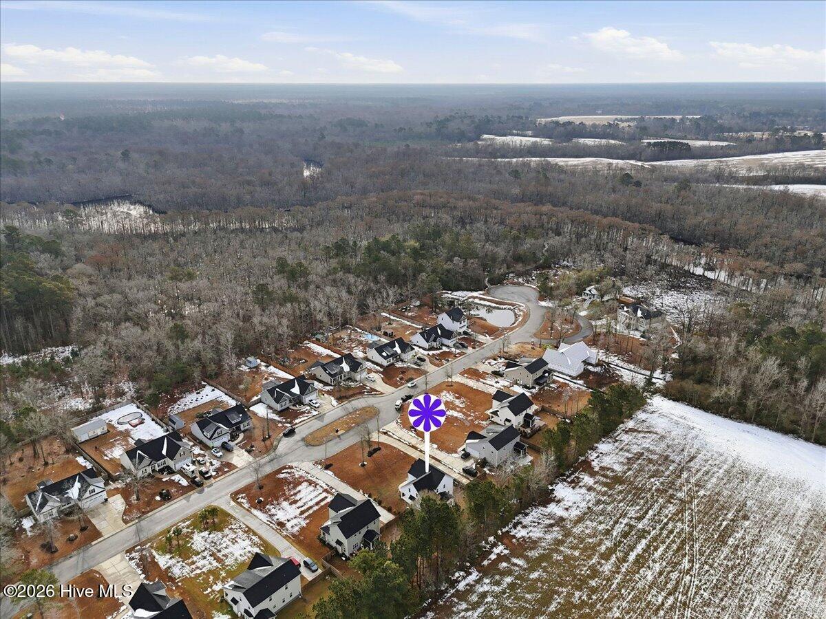 100553155 | Photo 51