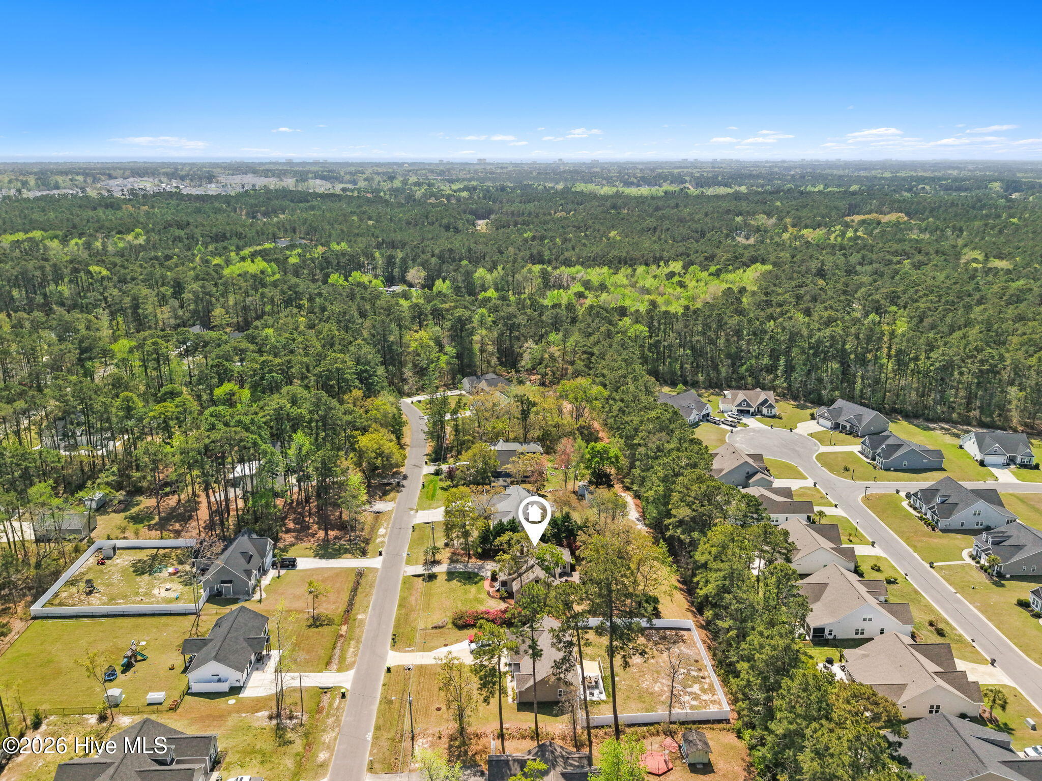 100564721 | Photo 69