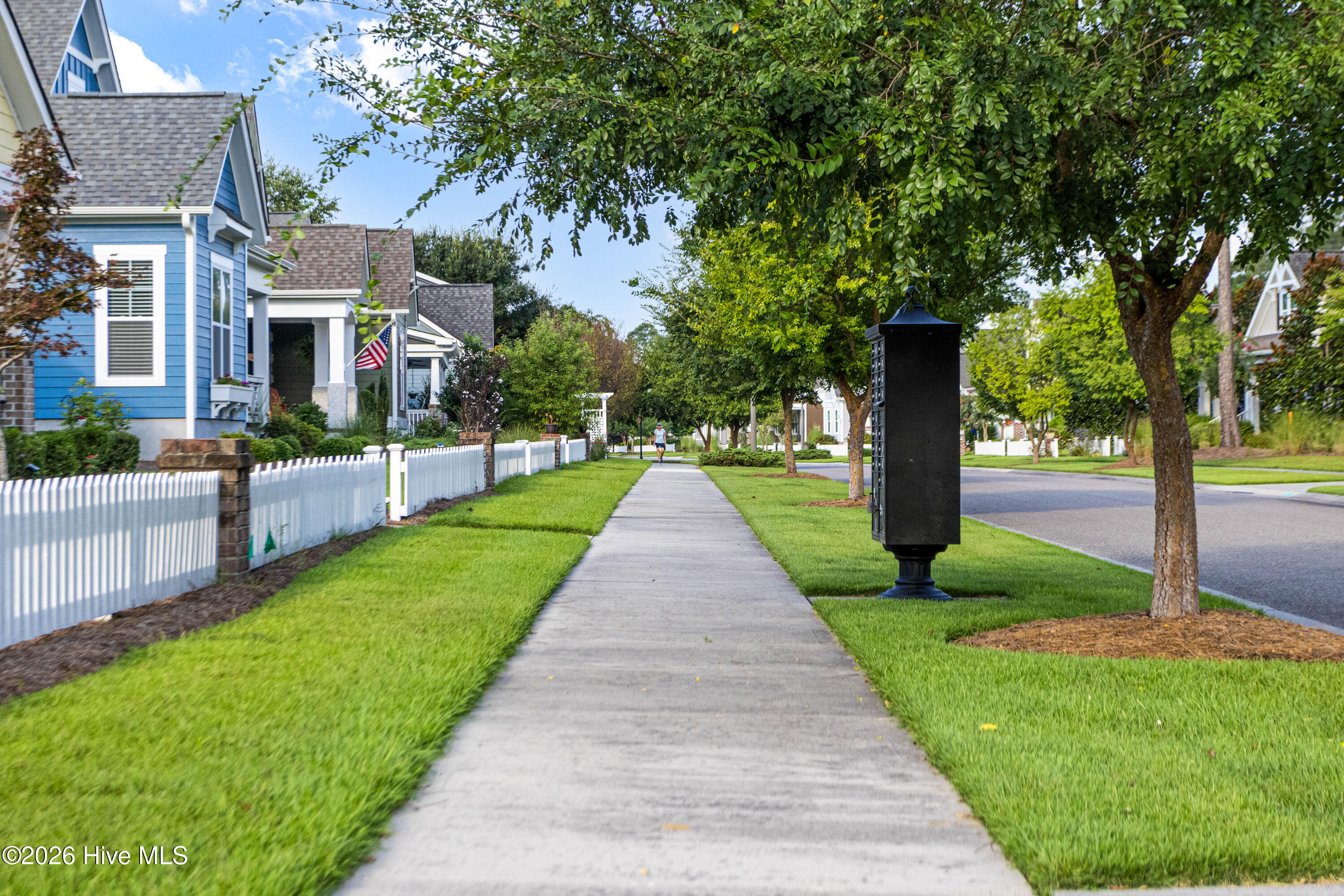 100554021 | Photo 65