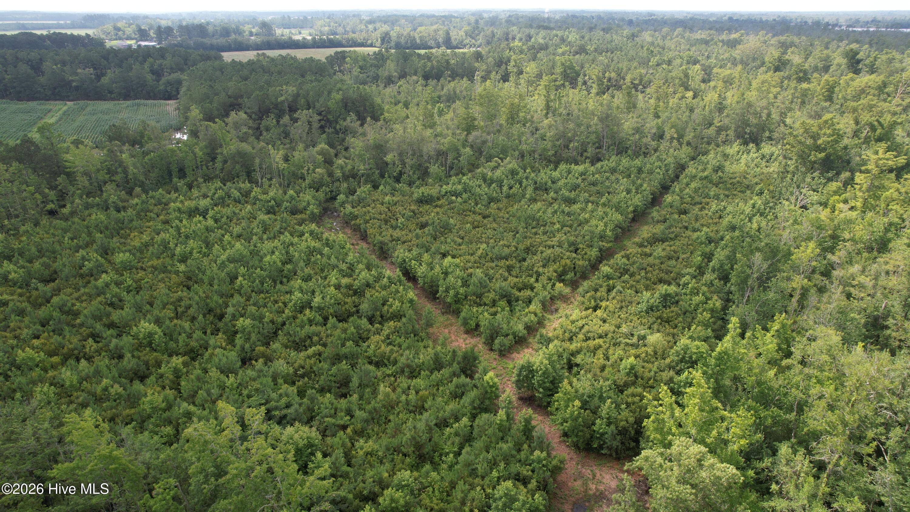 421 Riverneck Road, Columbia, NC, 27925