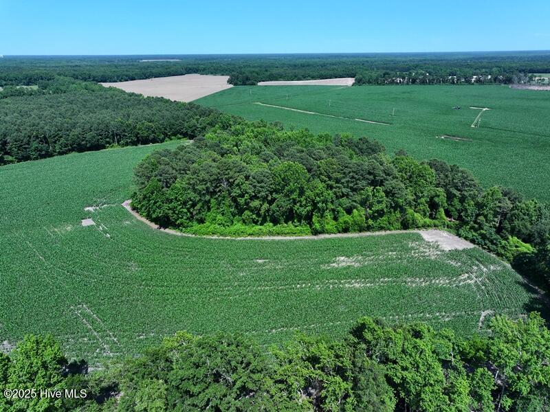 Homes for sale in Red Springs, NC | Tbd Hwy 71, Red Springs, NC 28377 | MLS# 100512614