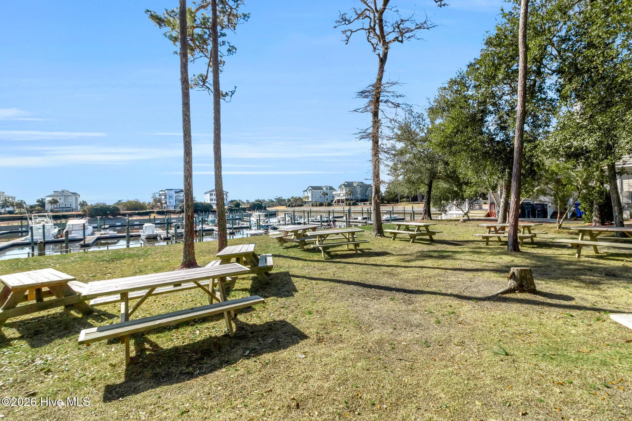 100548084 | Photo 12