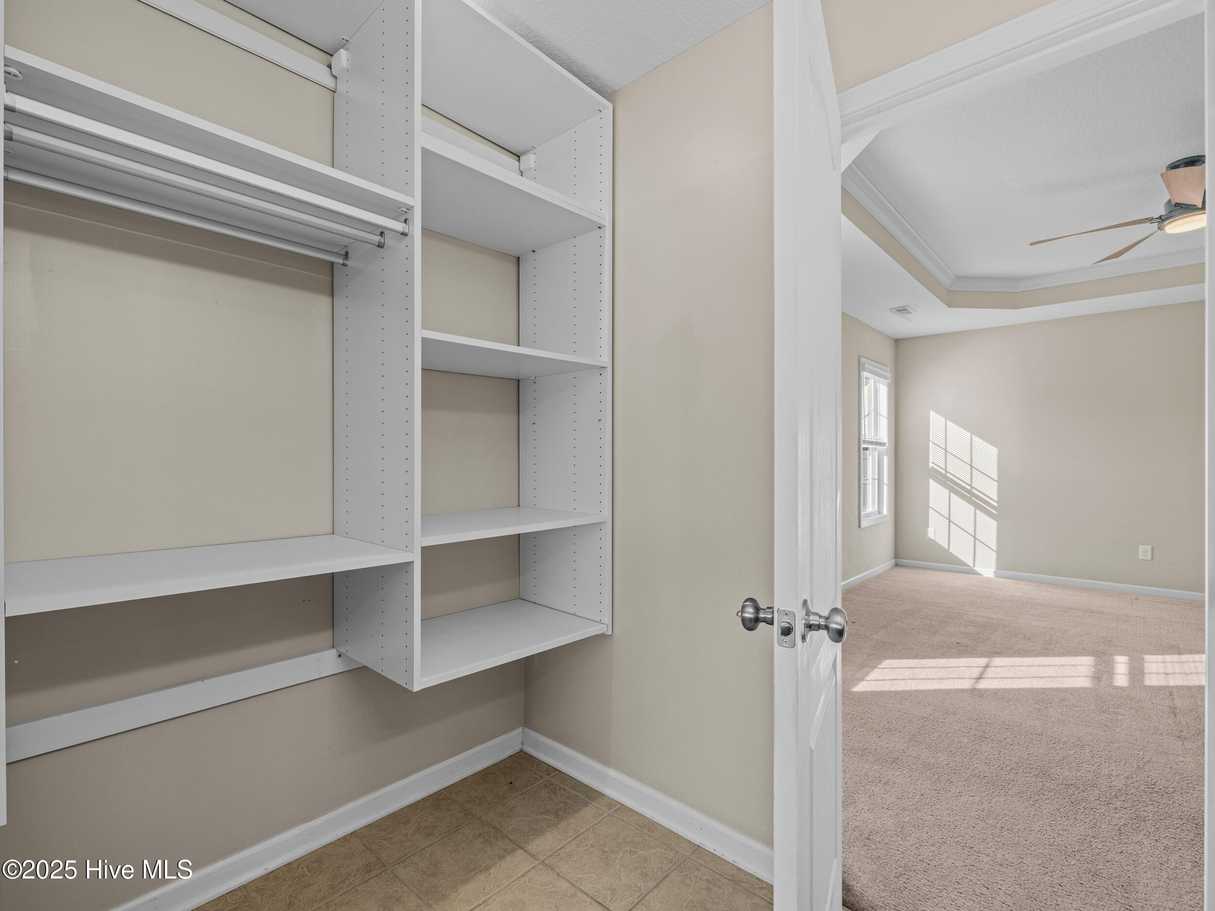 100546969 | Photo 28