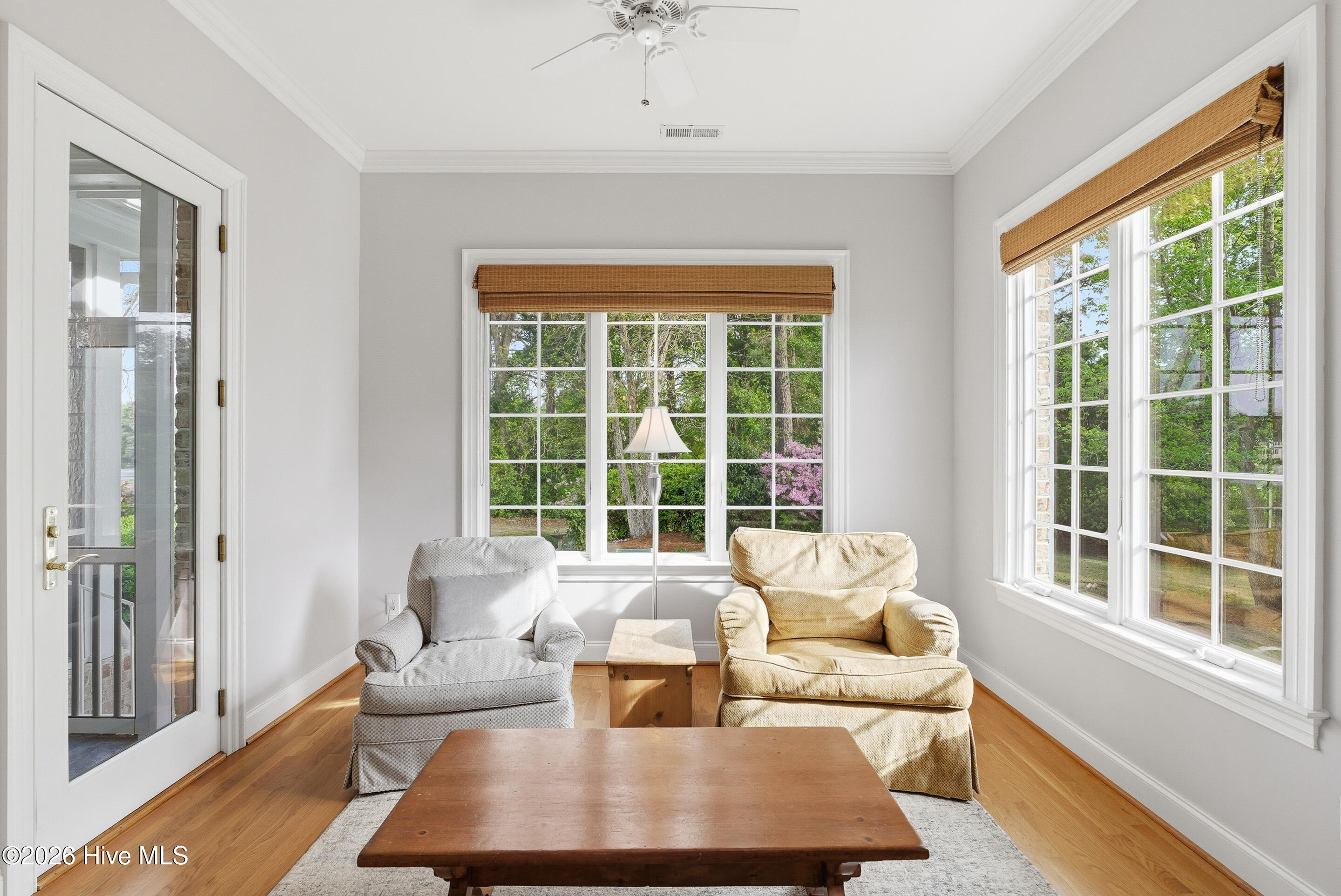 100568595 | Photo 20