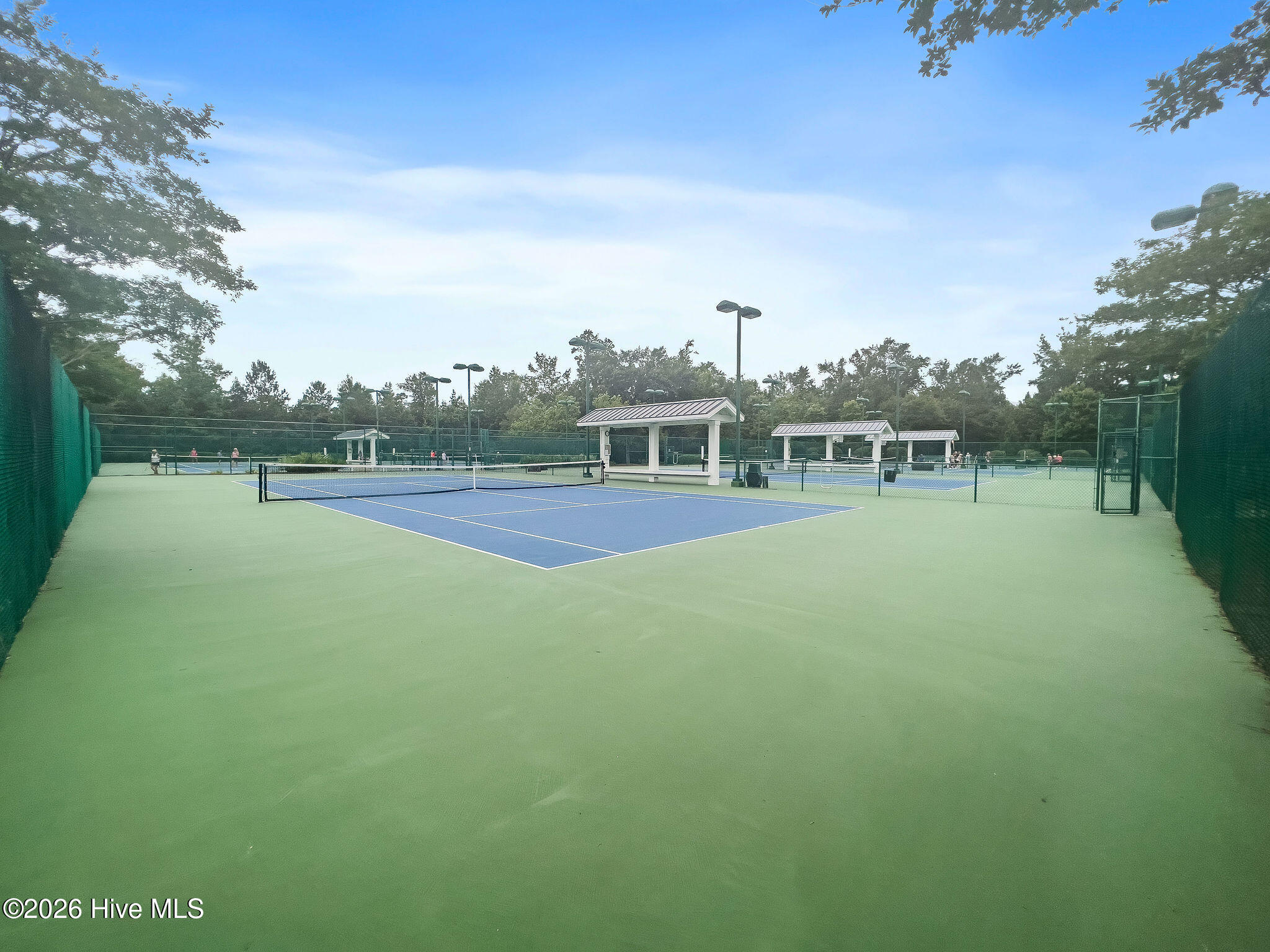 100554003 | Photo 75