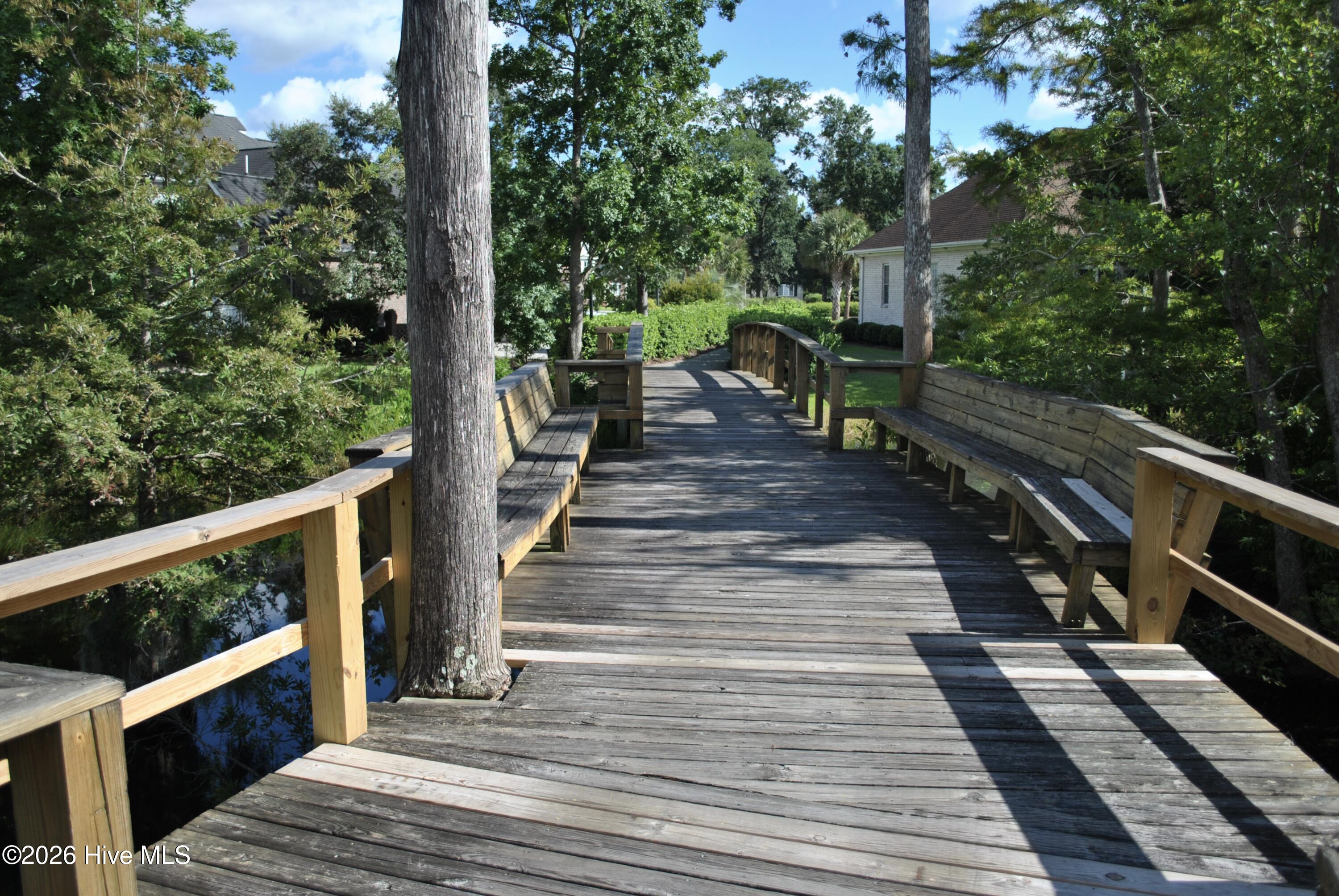 100554924 | Photo 59