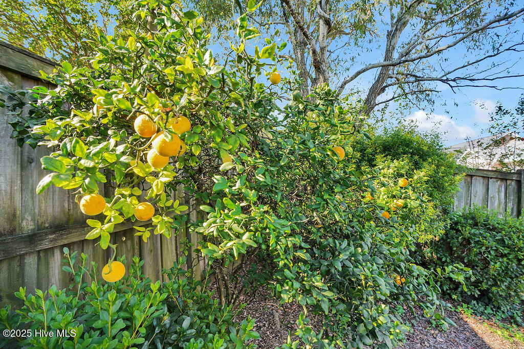 100531684 | Photo 29