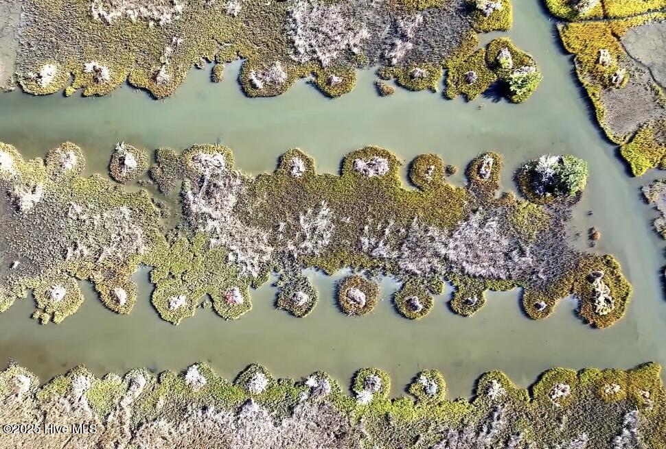 100542107 | Photo 18