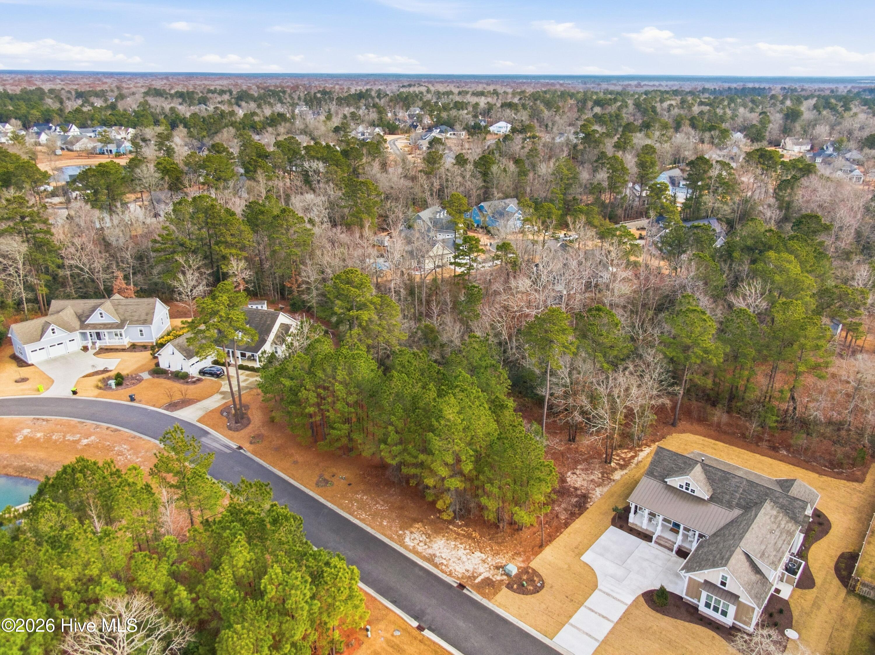 100551490 | Photo 56