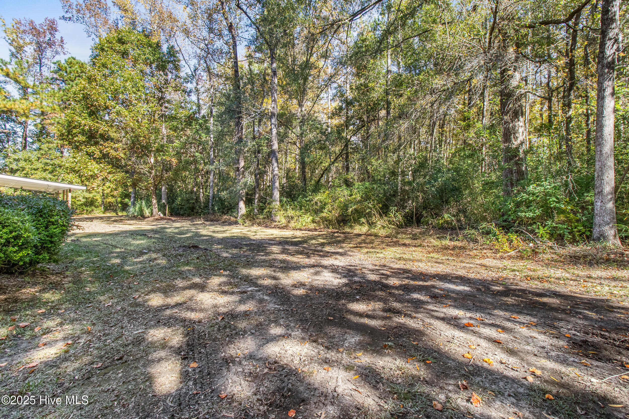 100540199 | Photo 28