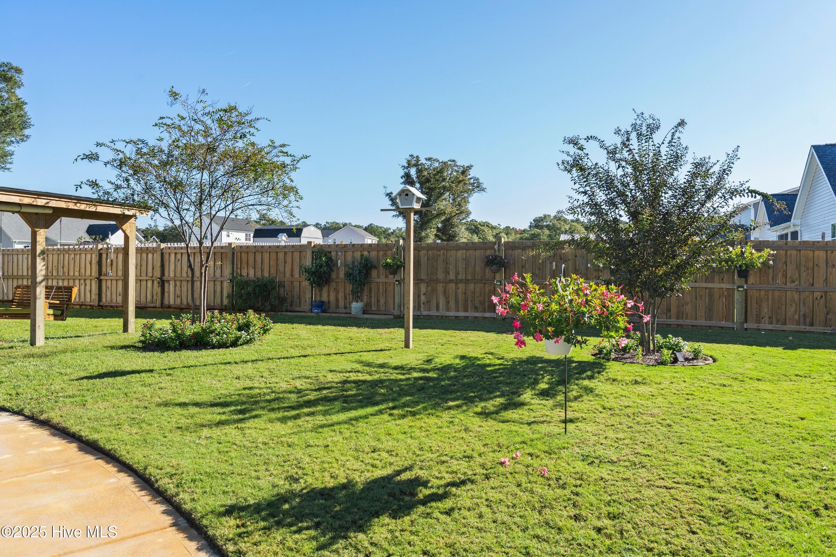 100538815 | Photo 61