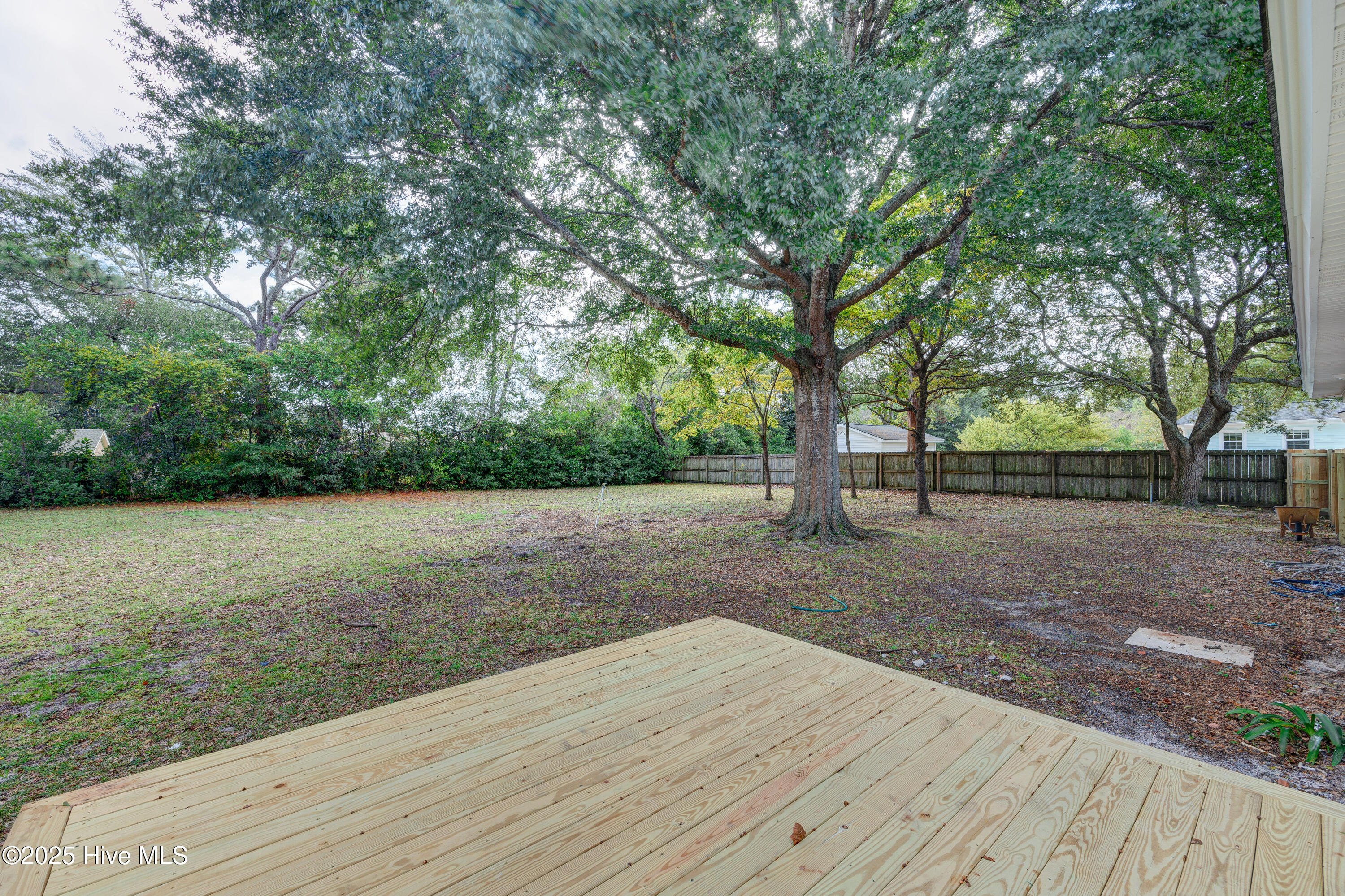 100534169 | Photo 40