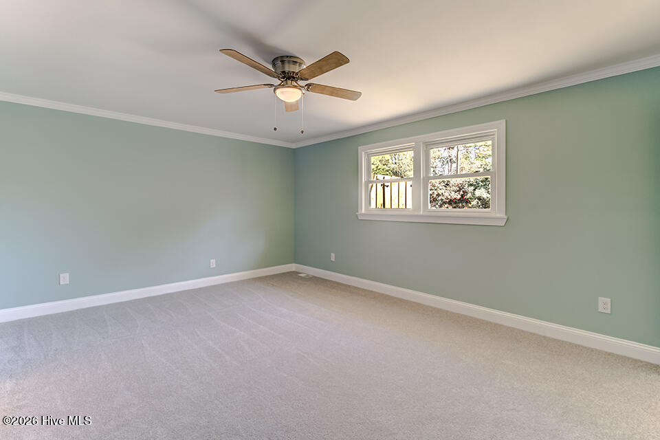 100558677 | Photo 32