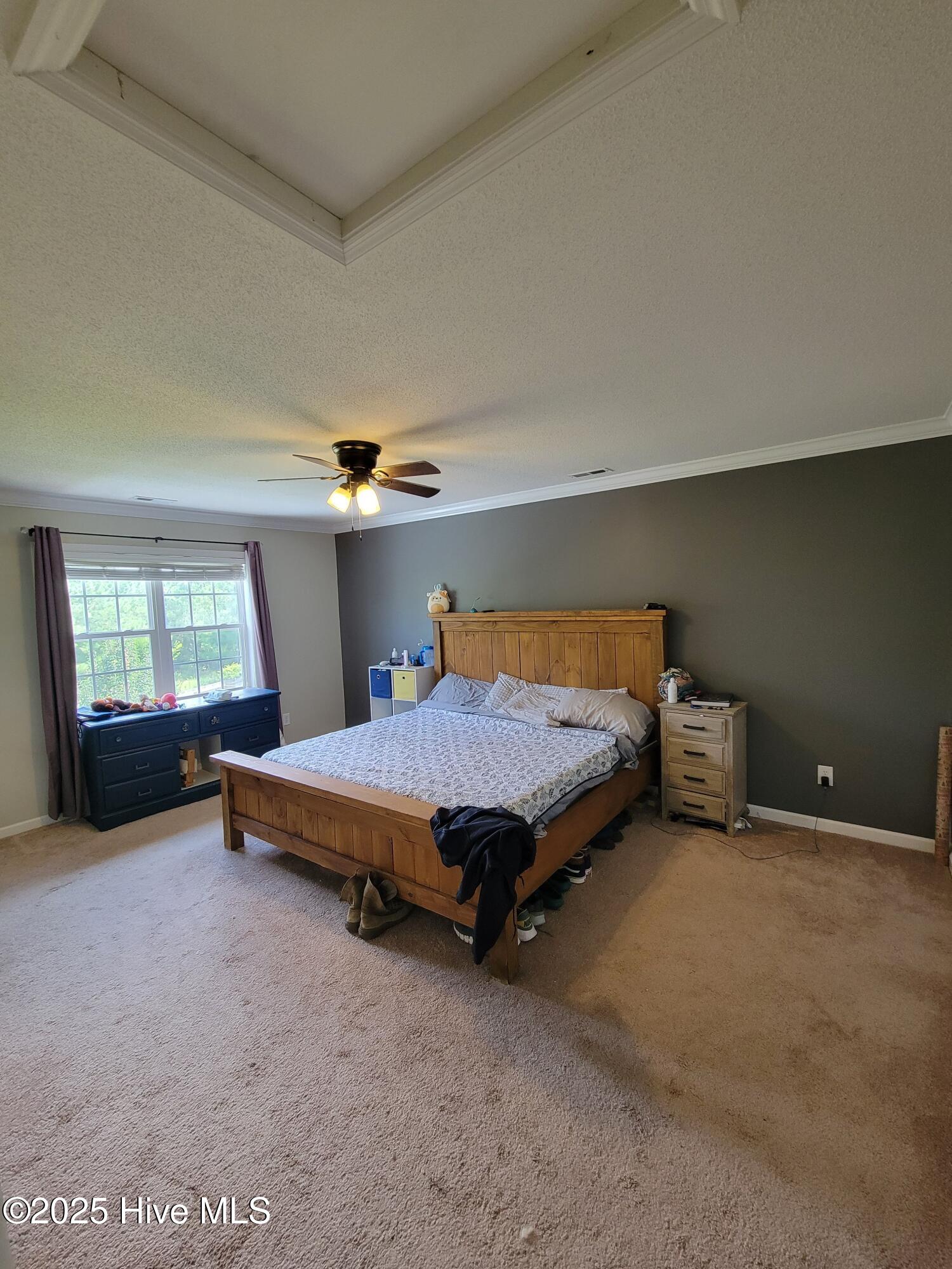 100545982 | Photo 14