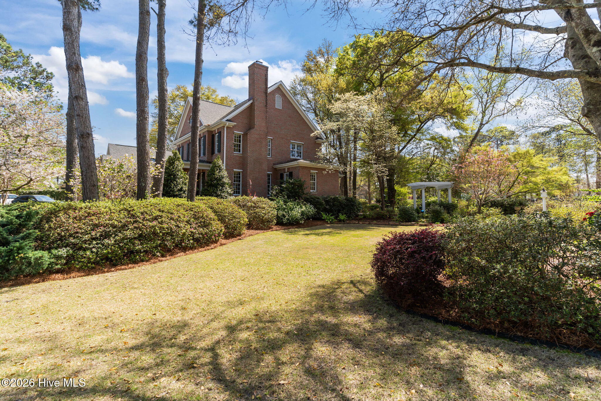 100564418 | Photo 50