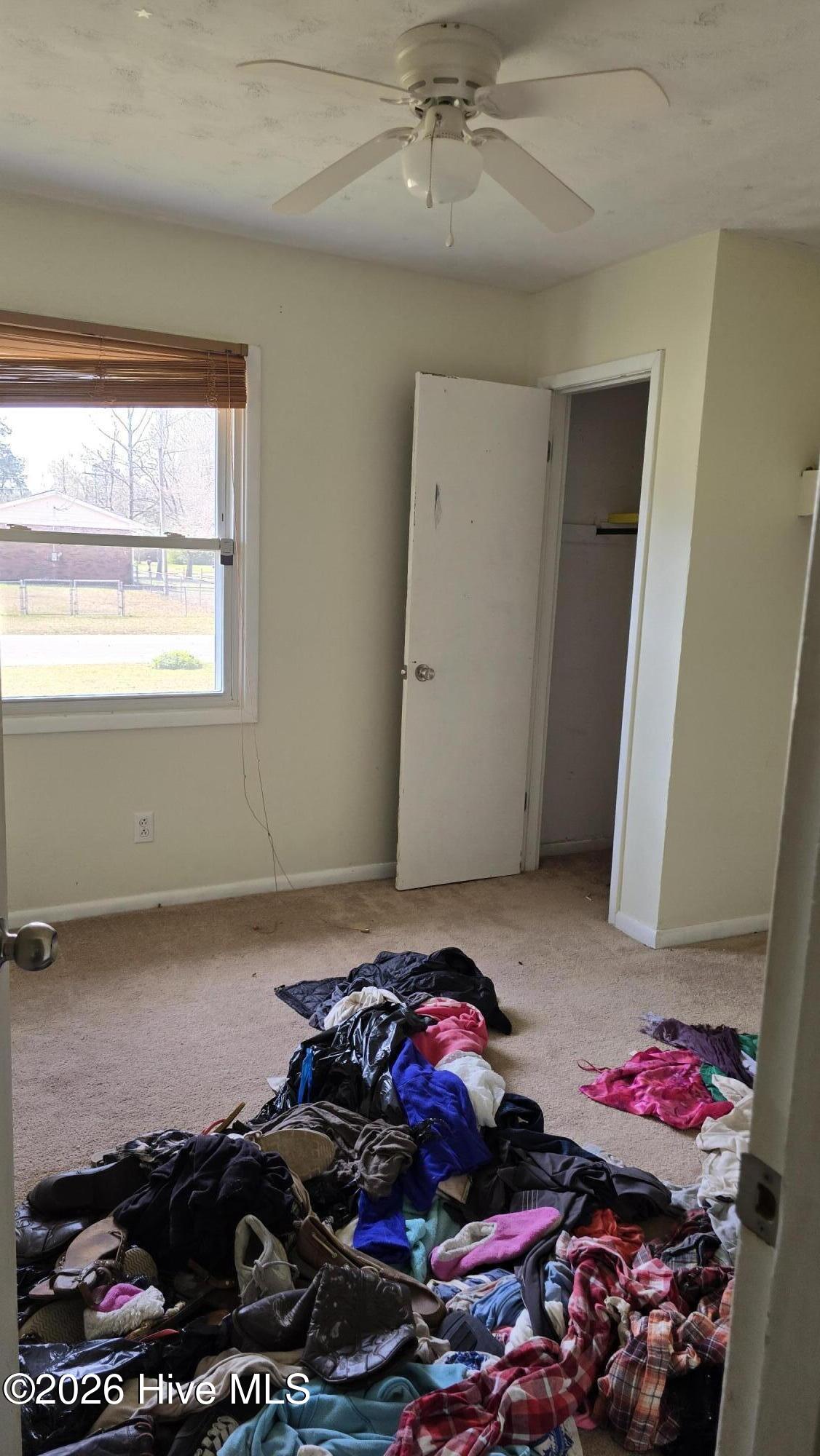 100561564 | Photo 34