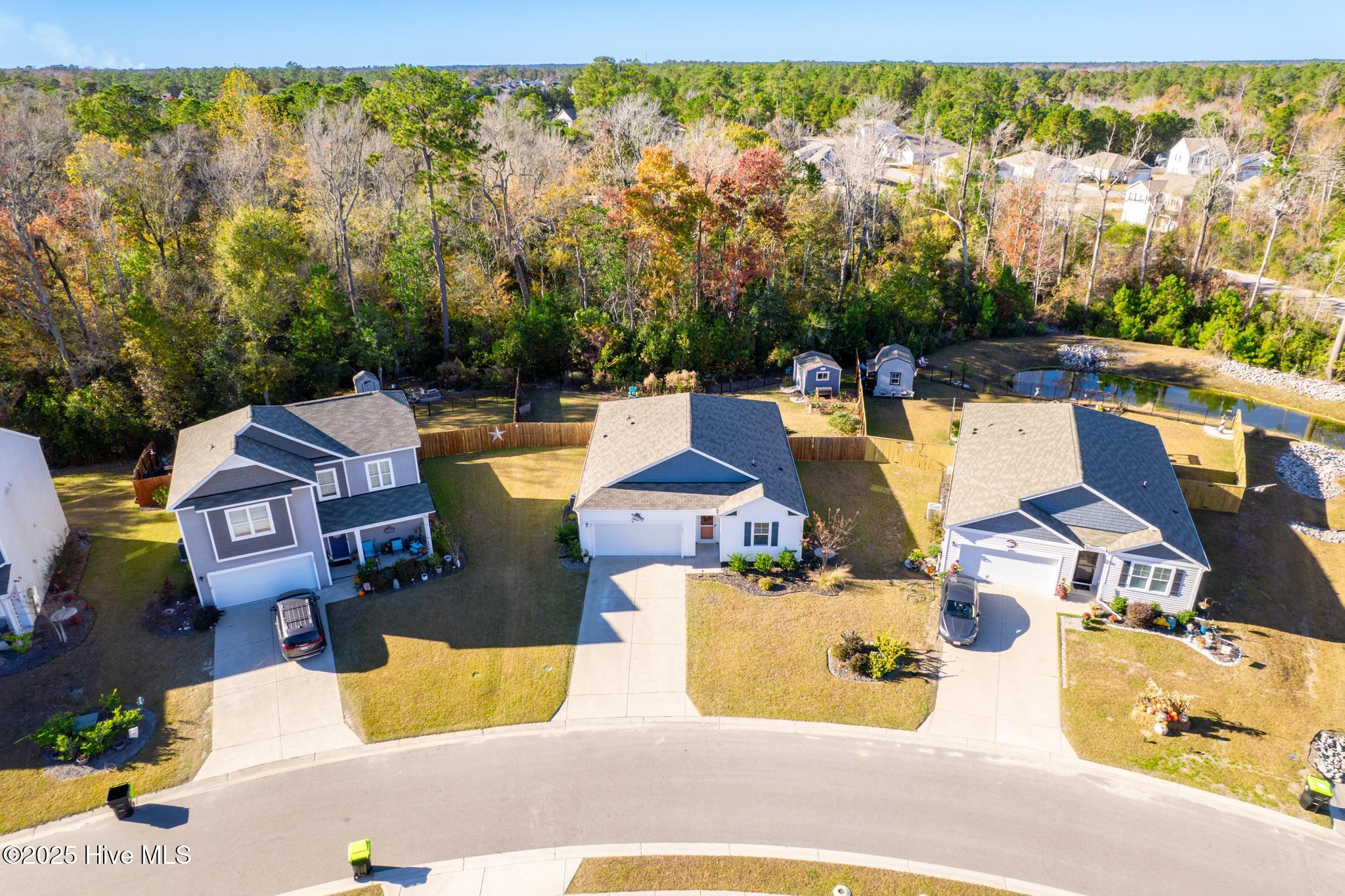 100542071 | Photo 30