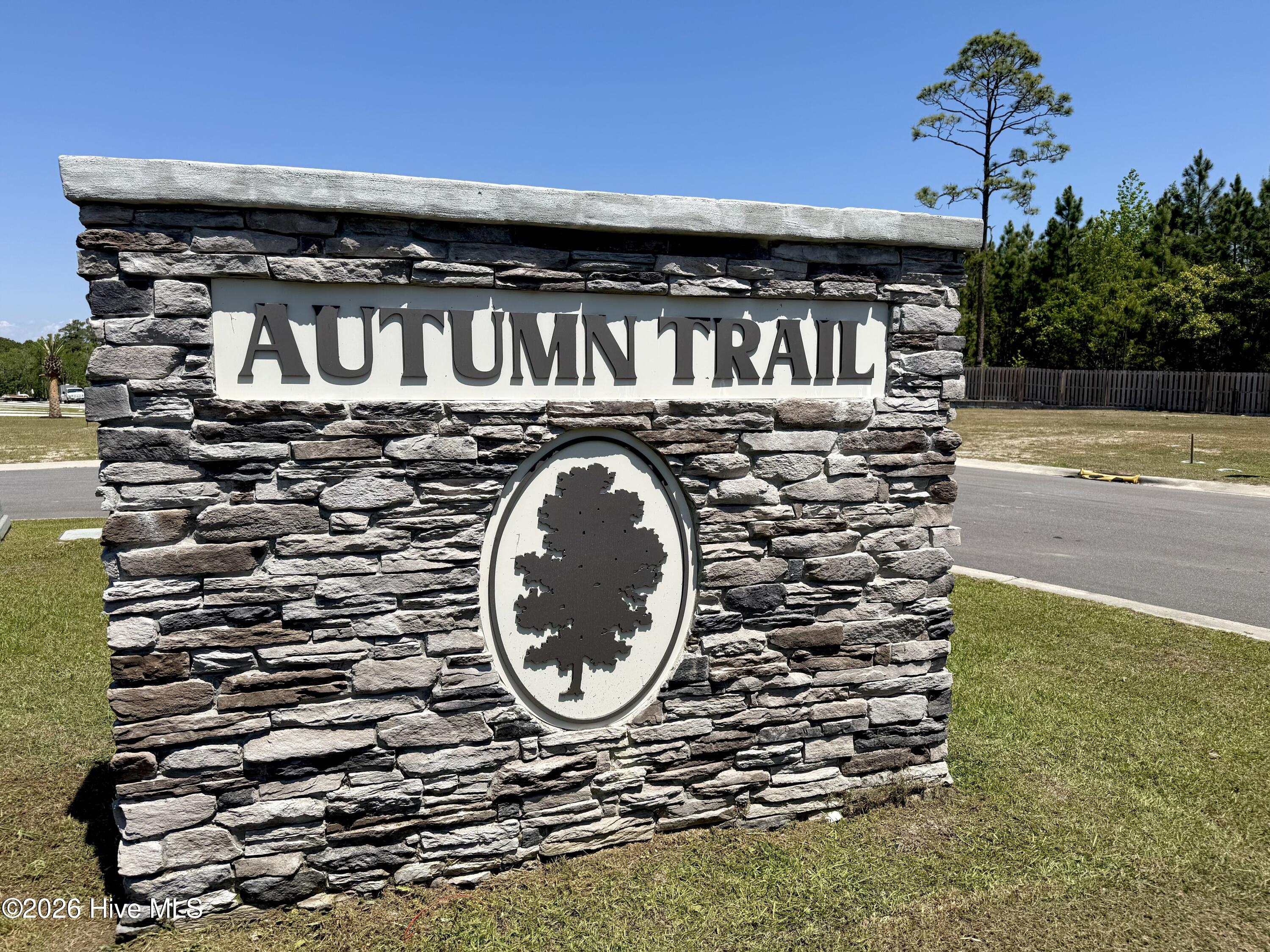 100546483 | Photo 26