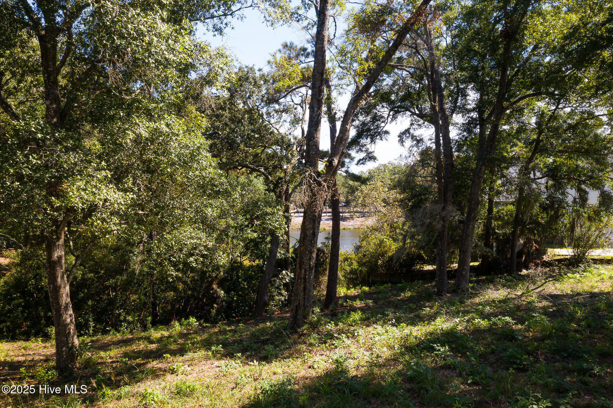 100533242 | Photo 11