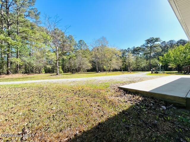 100566420 | Photo 79