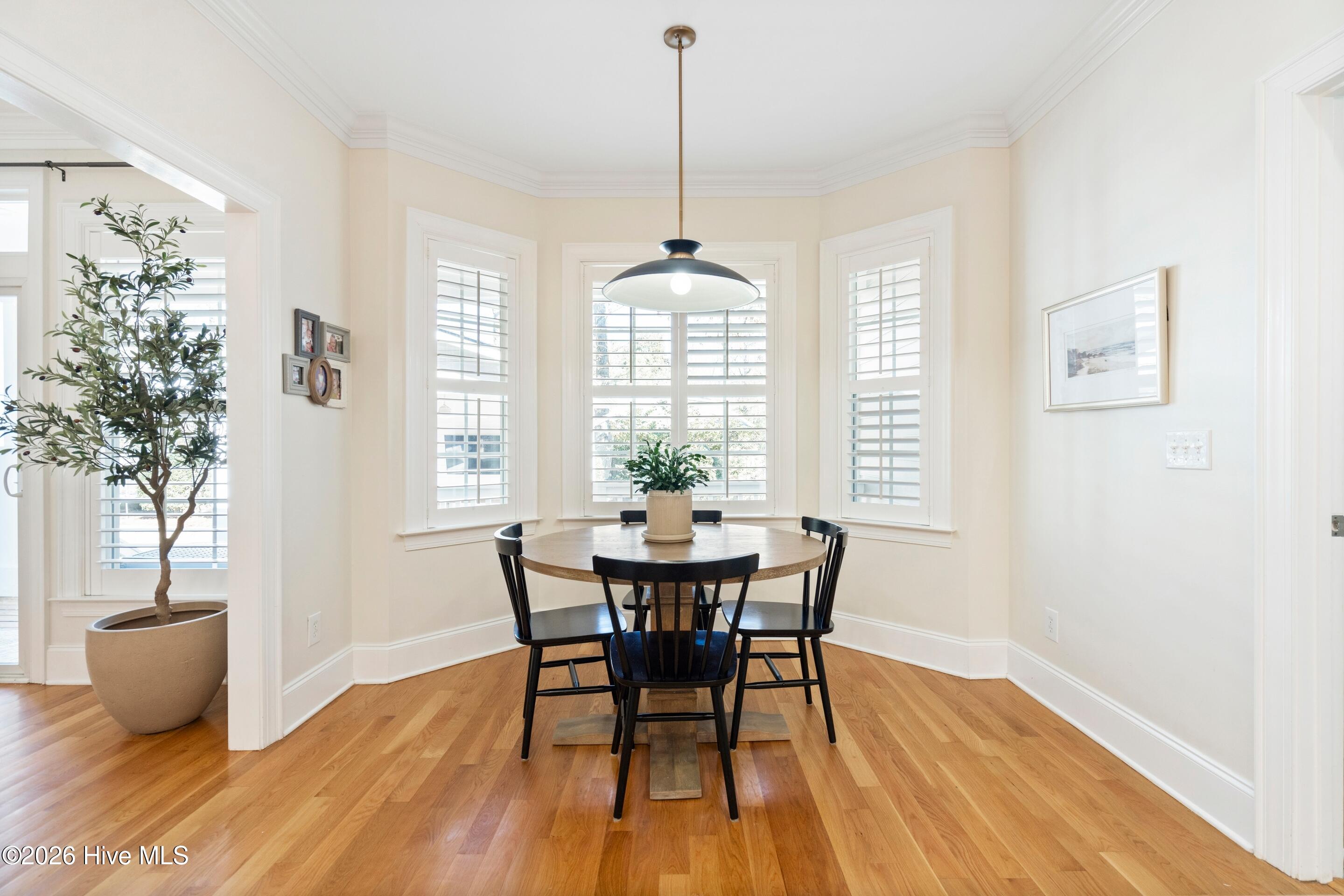 100549669 | Photo 18