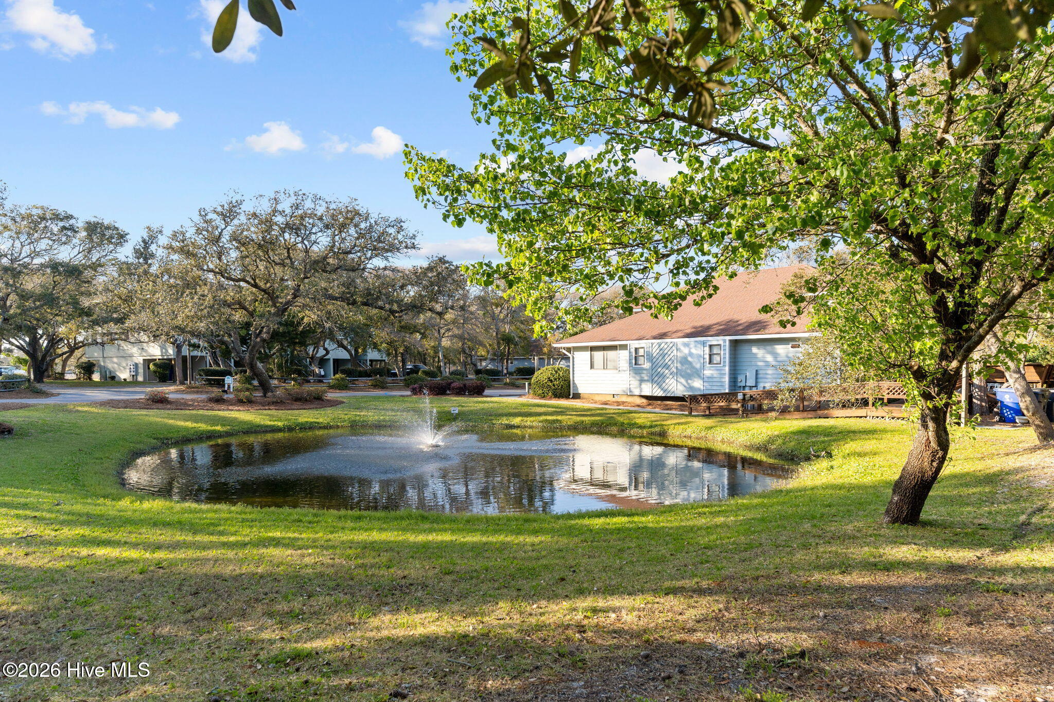 100558305 | Photo 63