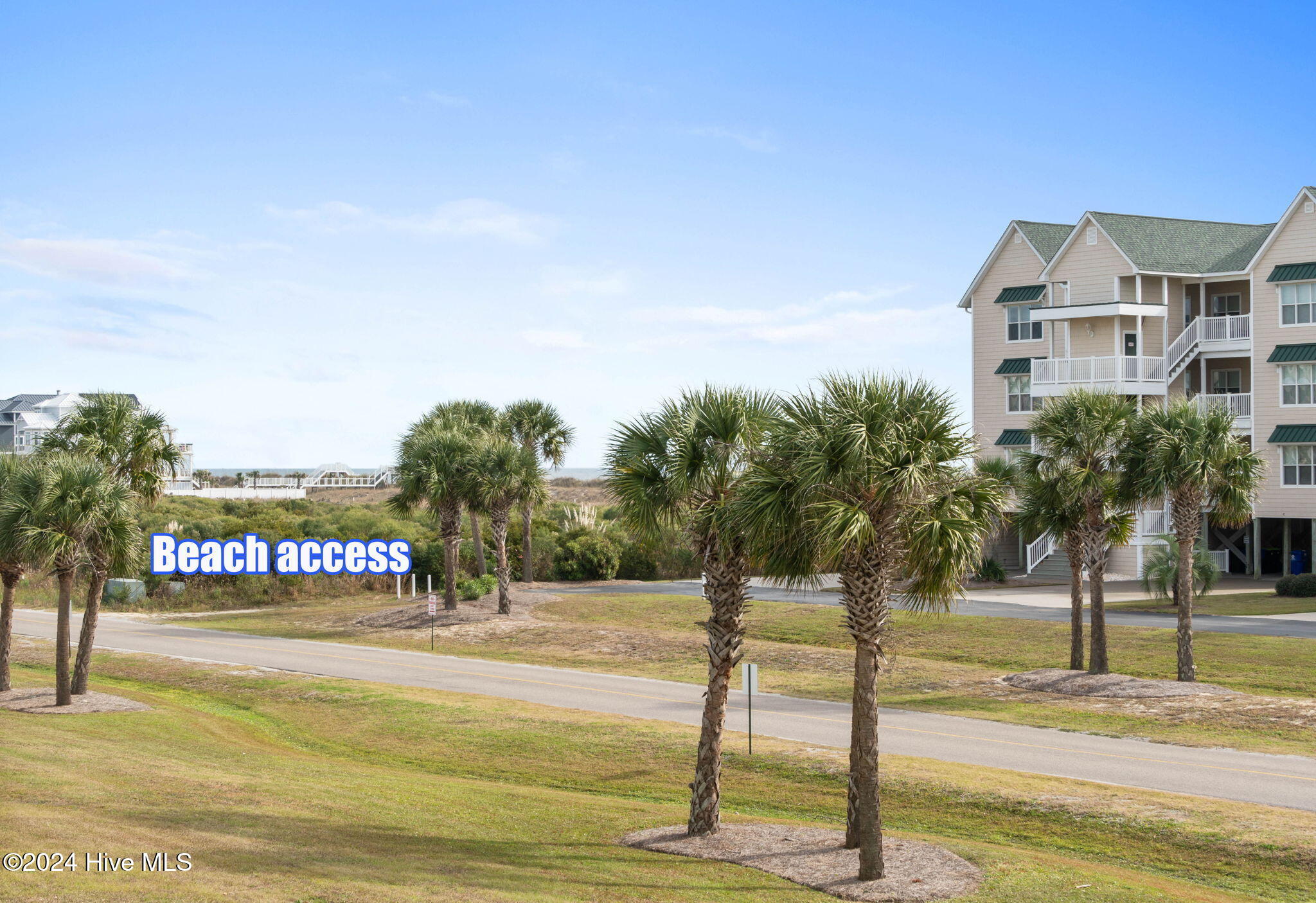 100548065 | Photo 47