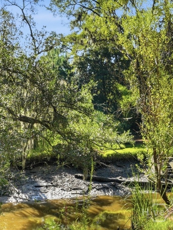 33rd image of 9006 Harmon Bluff Rd, Savannah, GA 31406 | MLS# SA362802