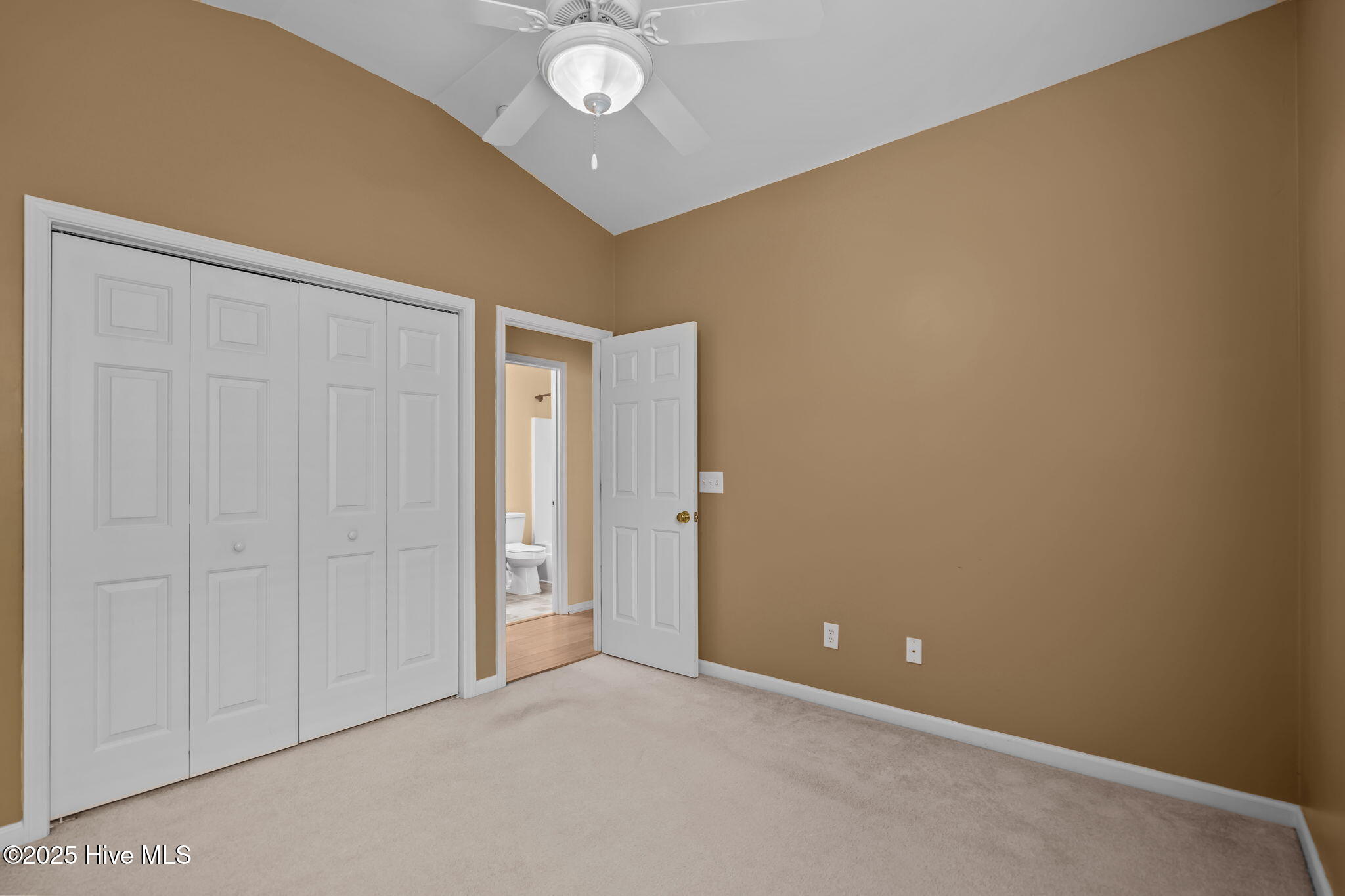 100538741 | Photo 36