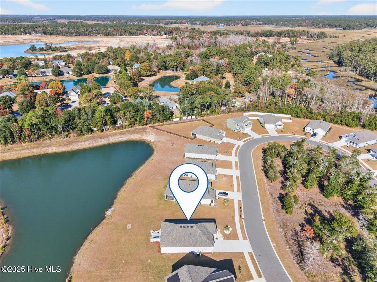 100542039 | Photo 45