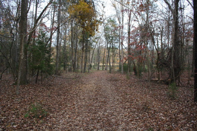 Double Branches Road, Lincolnton, GA 30817 Listing Photo  3