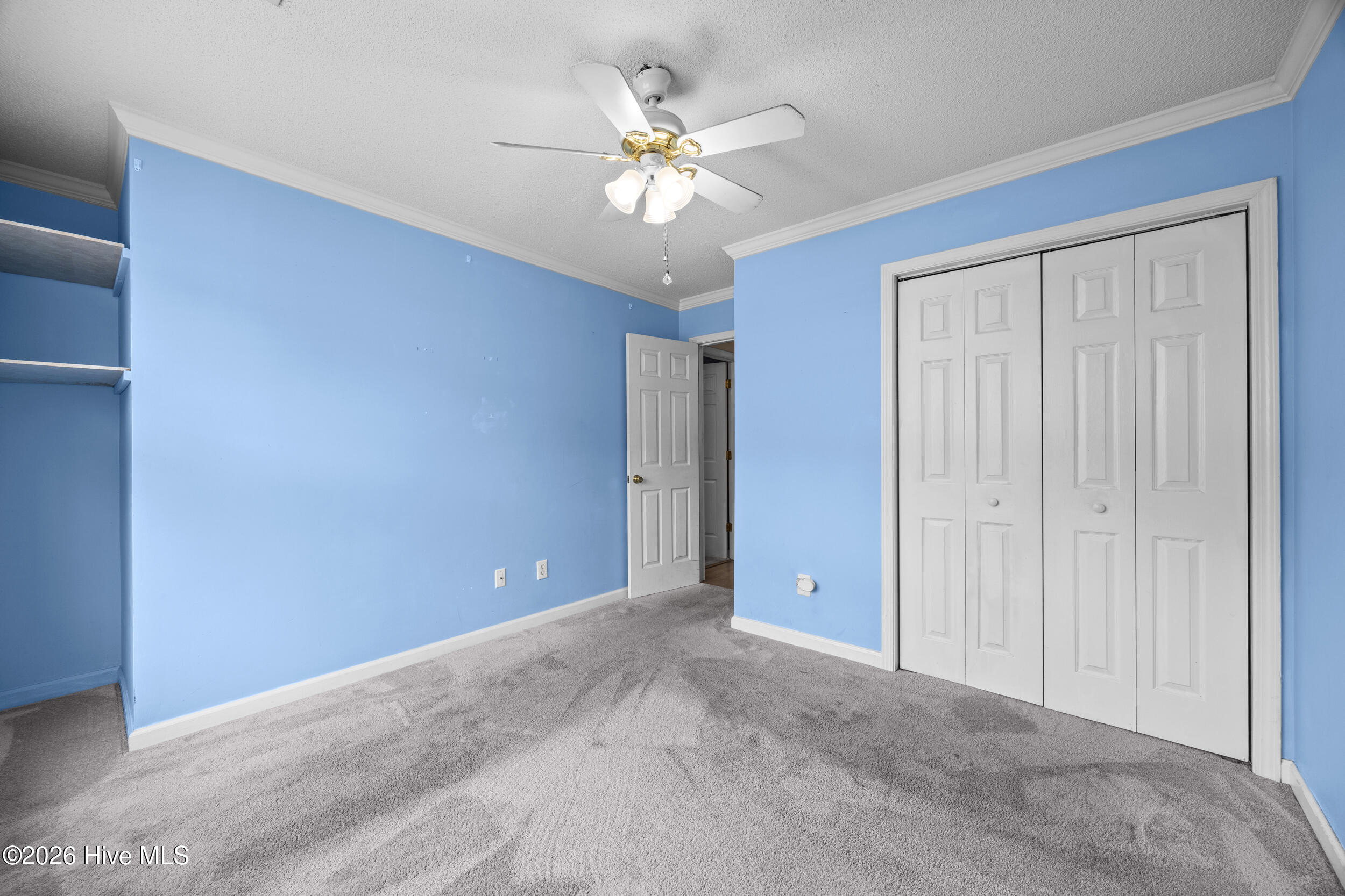 100564303 | Photo 10