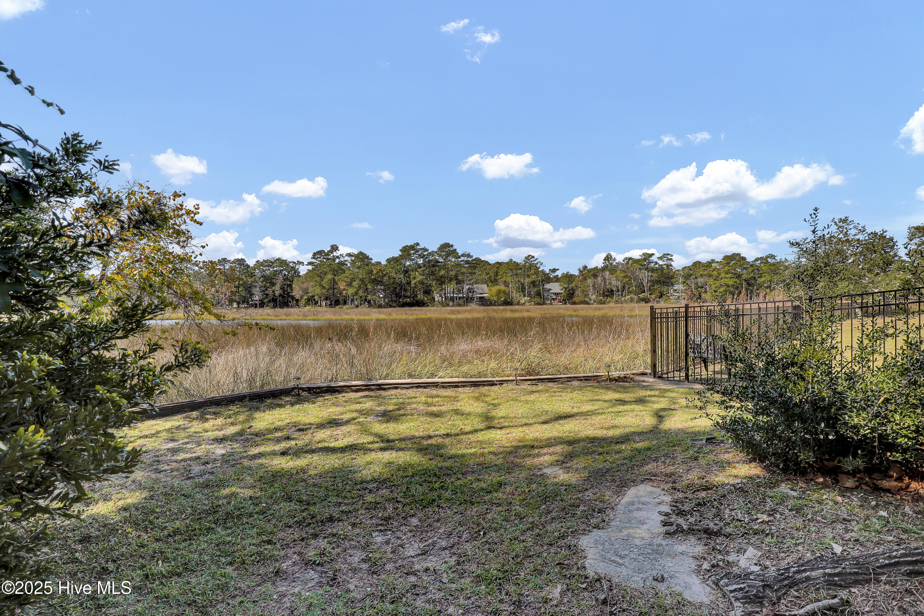 100537816 | Photo 42