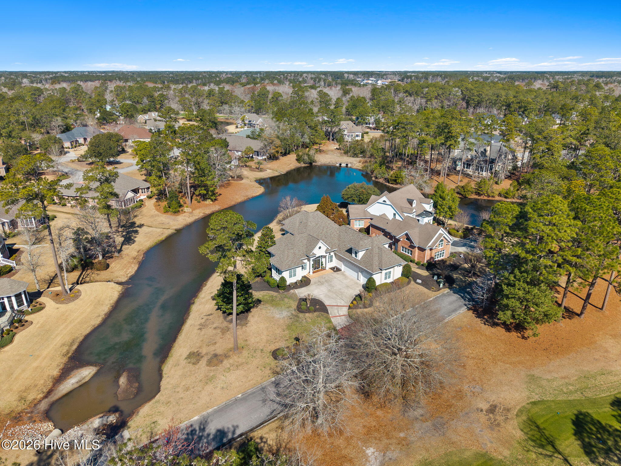 100559683 | Photo 61