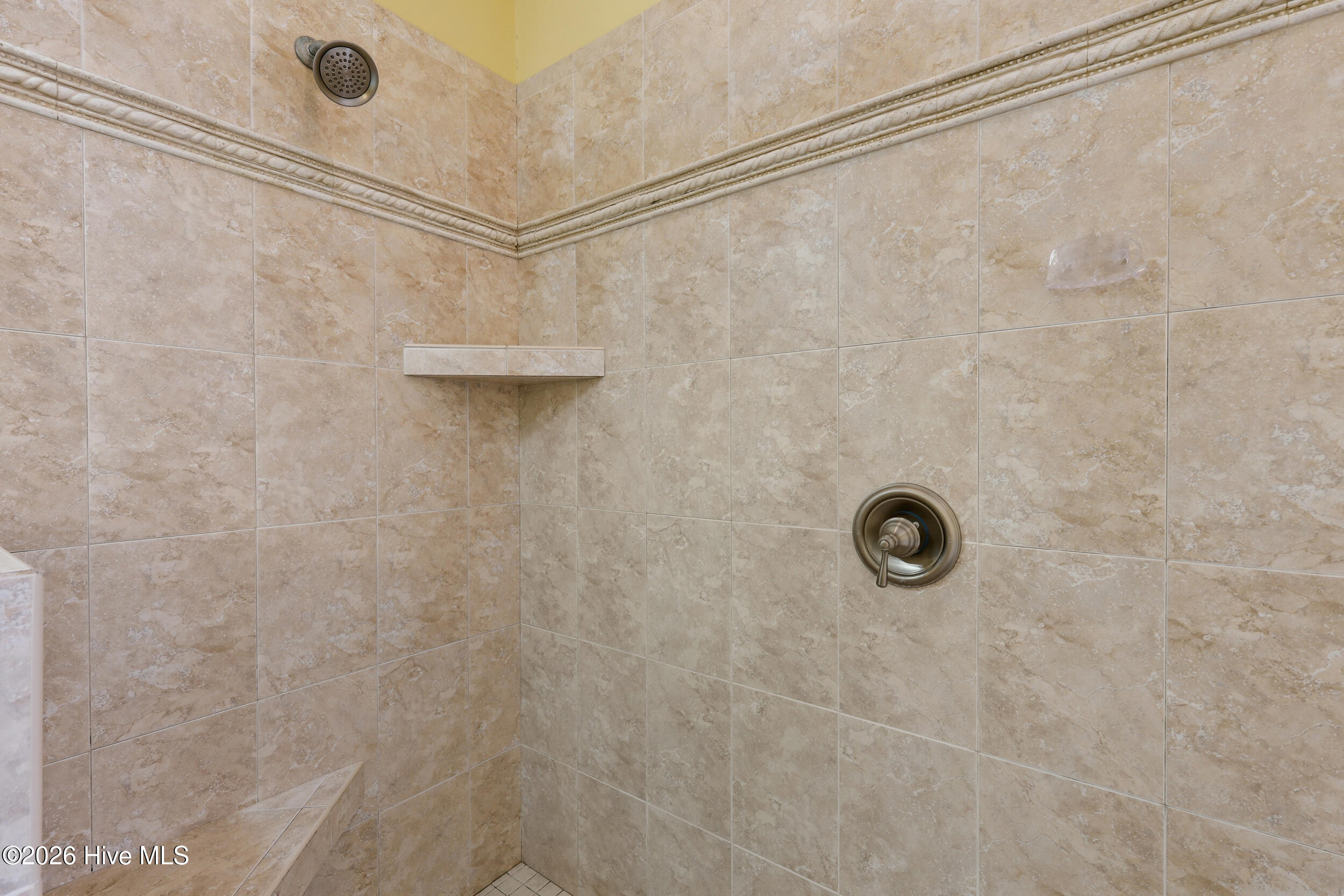 100567096 | Photo 44